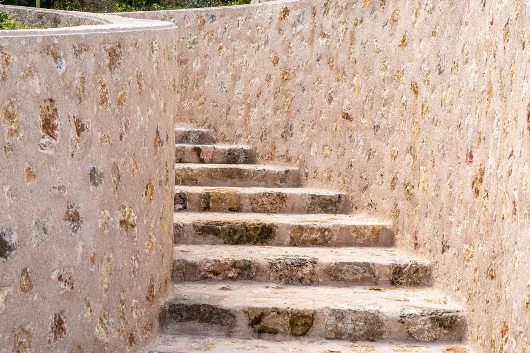 Finca Tomir
