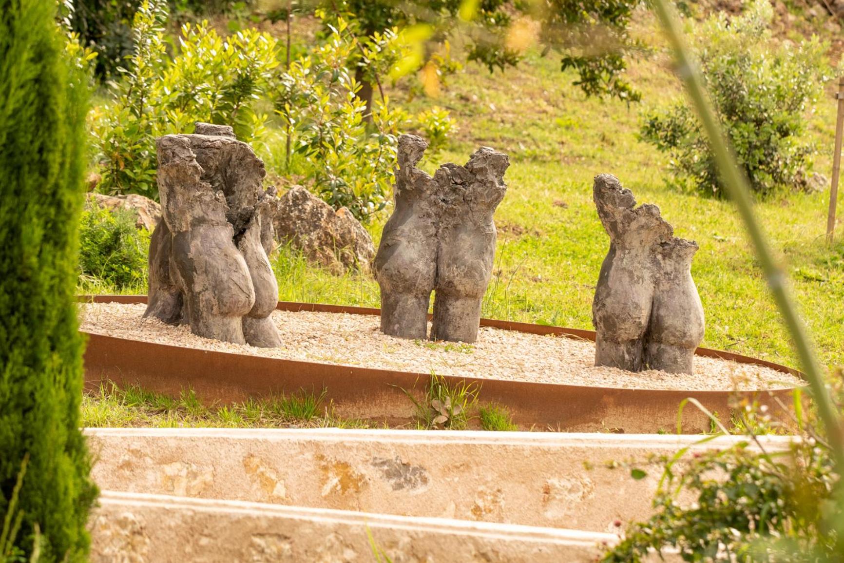 Finca Tomir