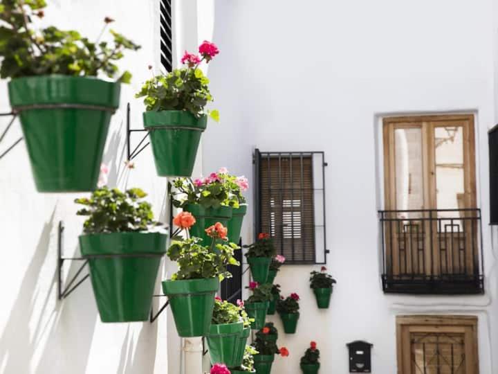 Apartamento en el corazon de las Alpujarras