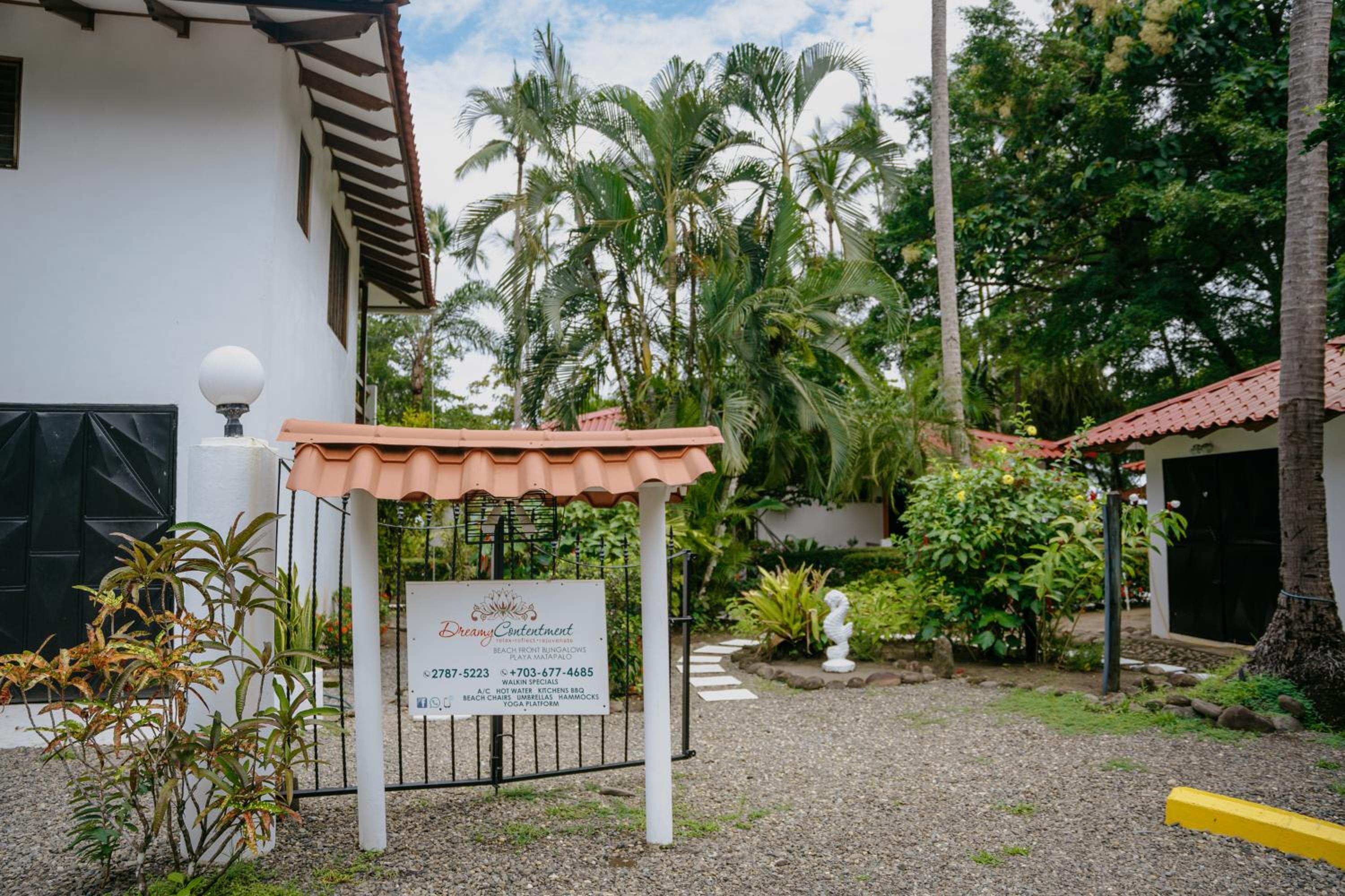 Dreamy Contentment