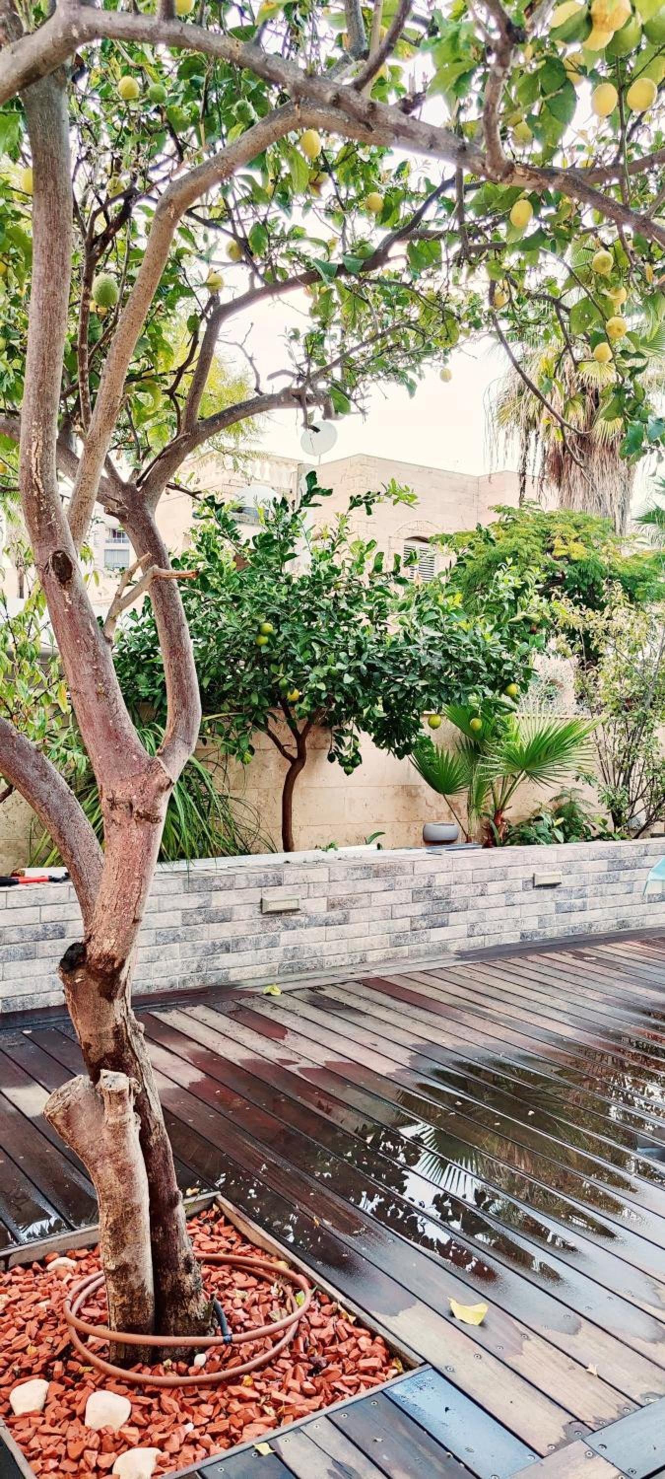 Primrose Boutique Apartment, photo 17