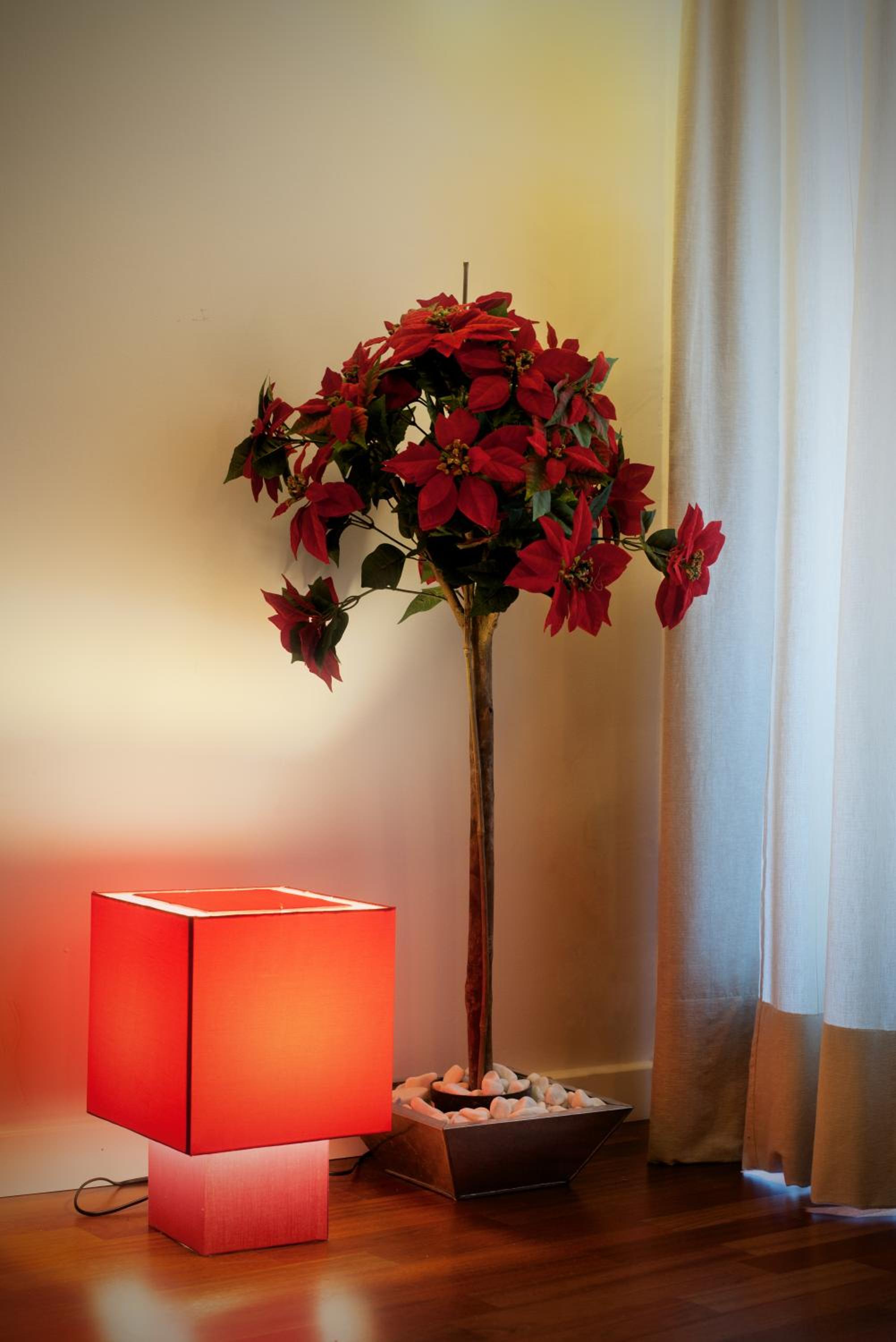 Apartamentos Abad Toledo