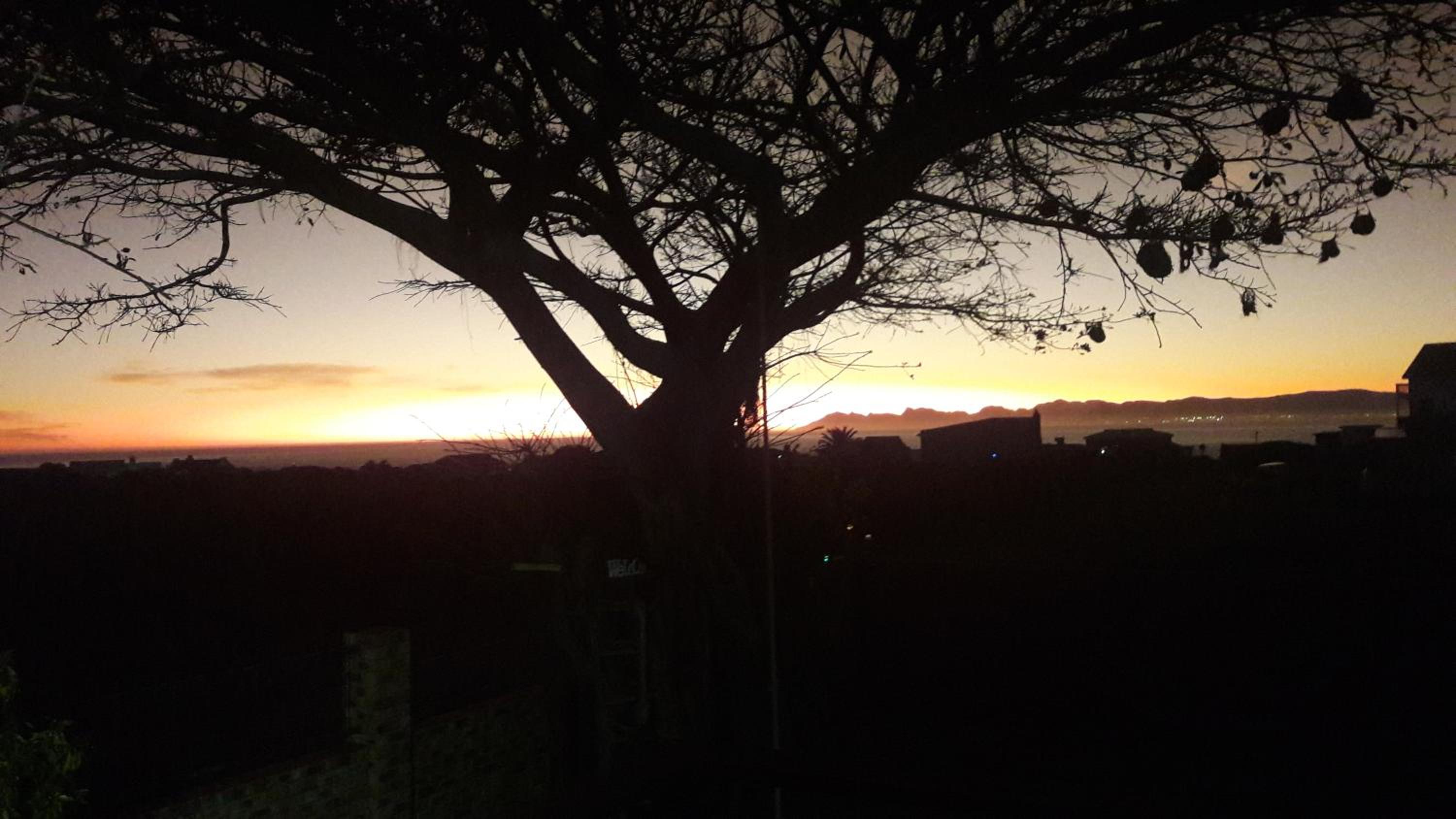 TOEVLUG view 3