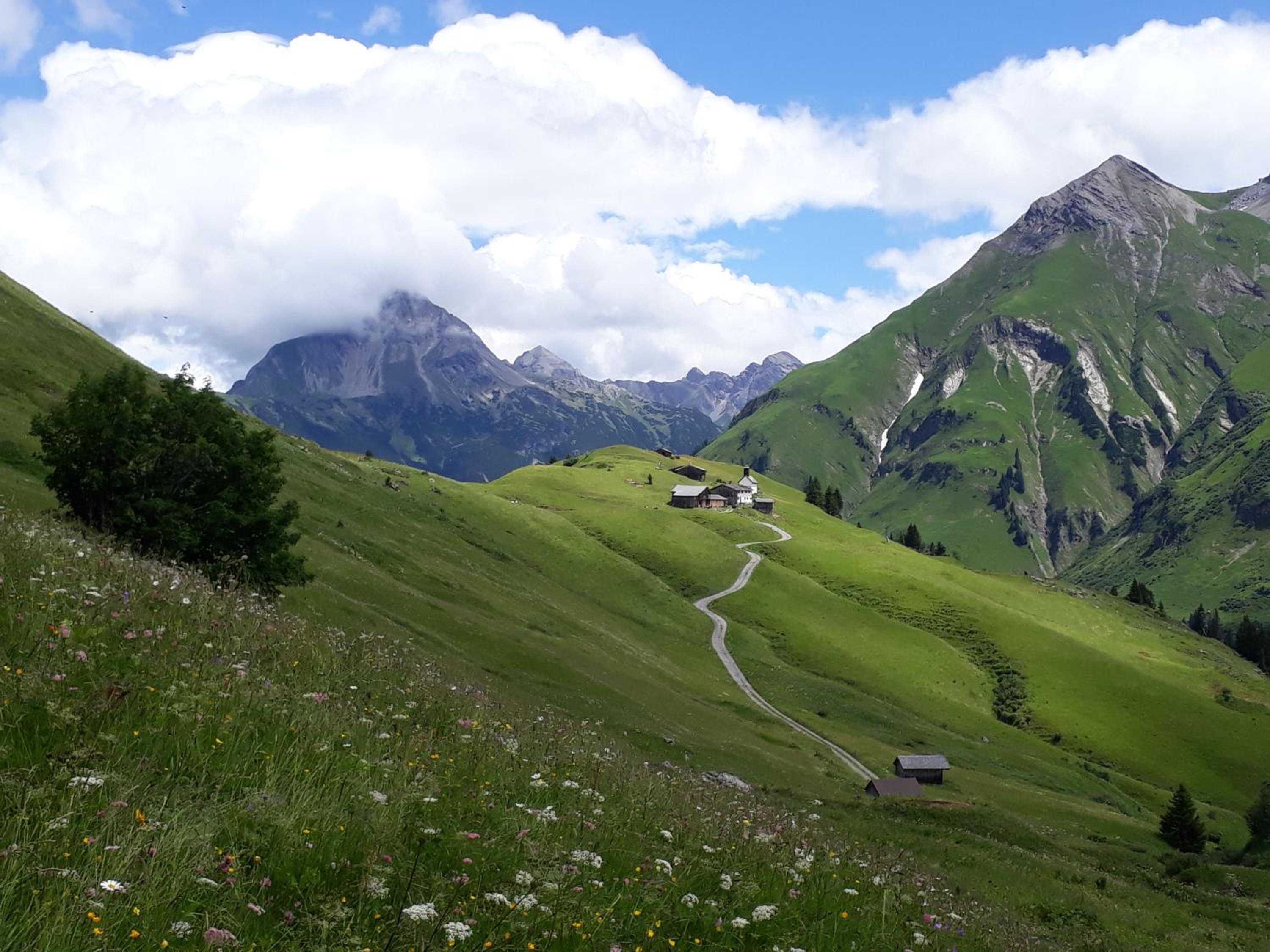 Fernblick Frühstückspension