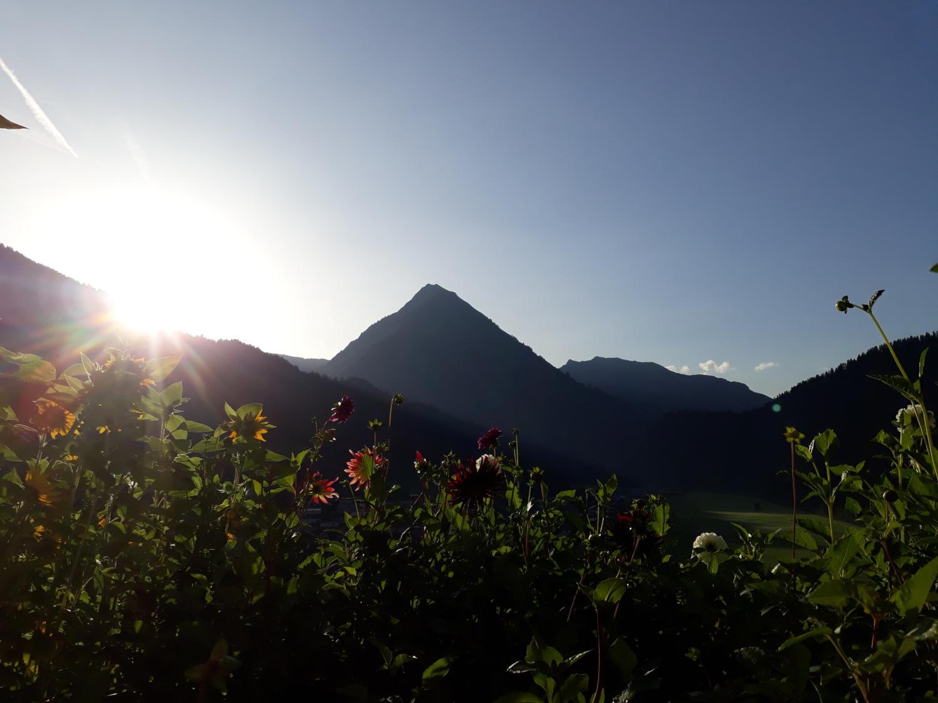 Fernblick Frühstückspension