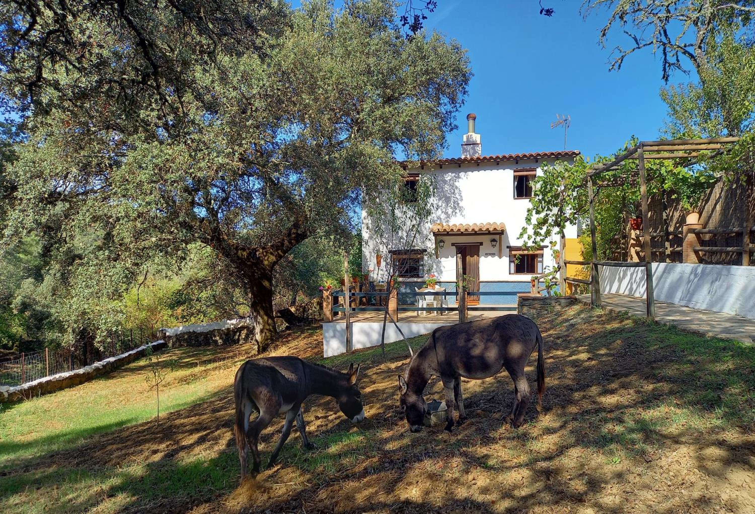 La Encina Casa Rural photo 1