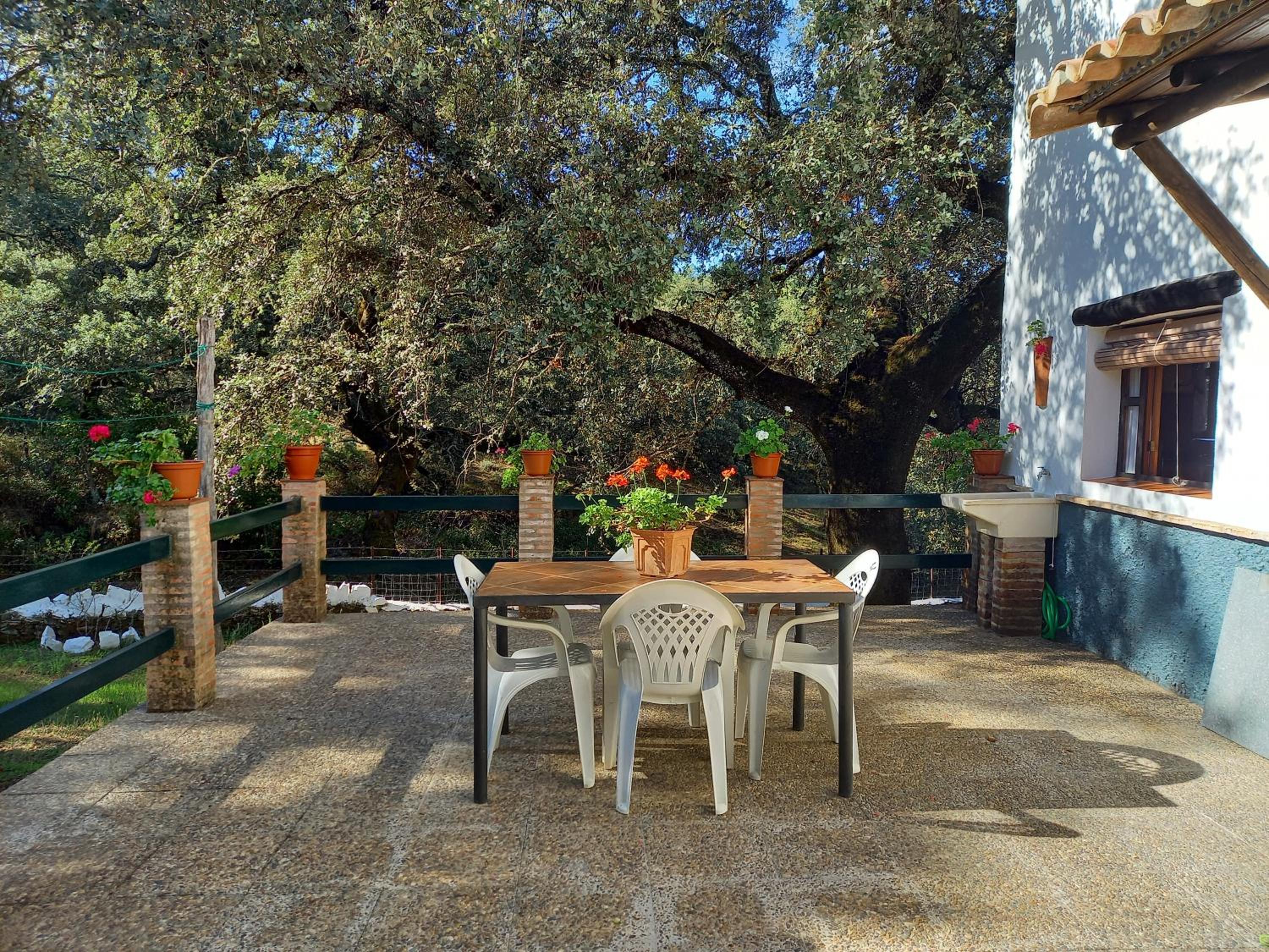 La Encina Casa Rural photo 2