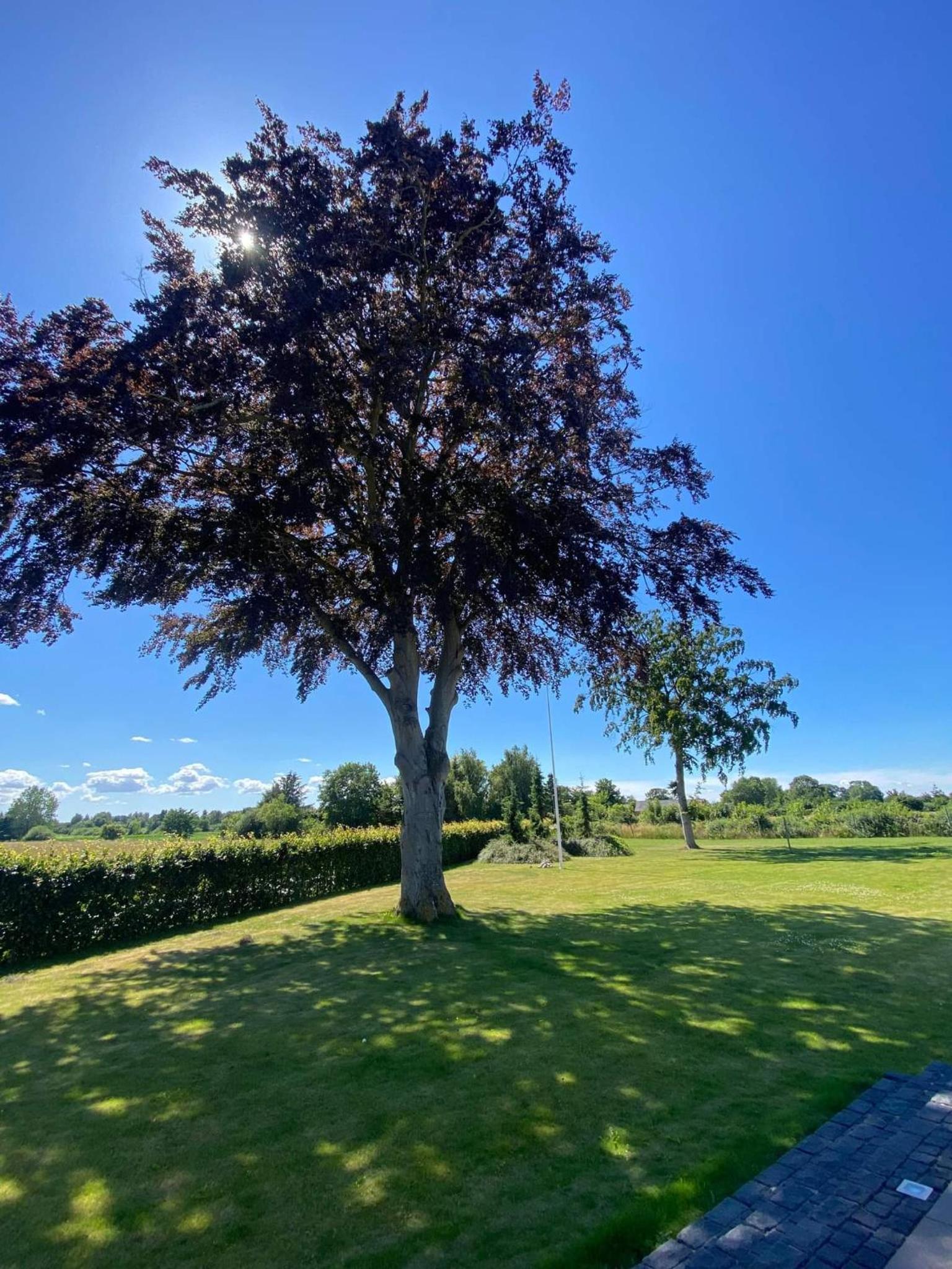 Birkelund BnB