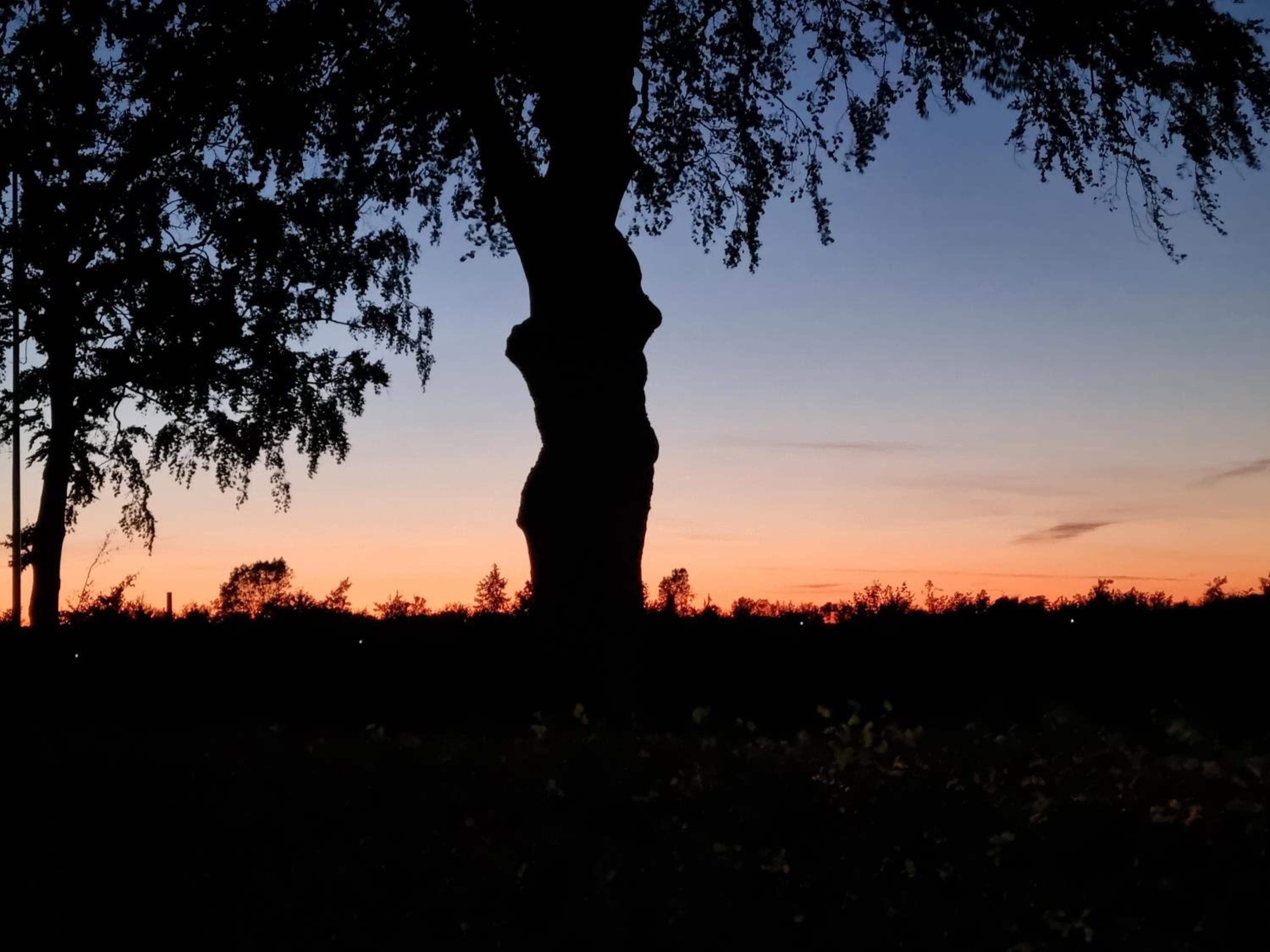 Birkelund BnB