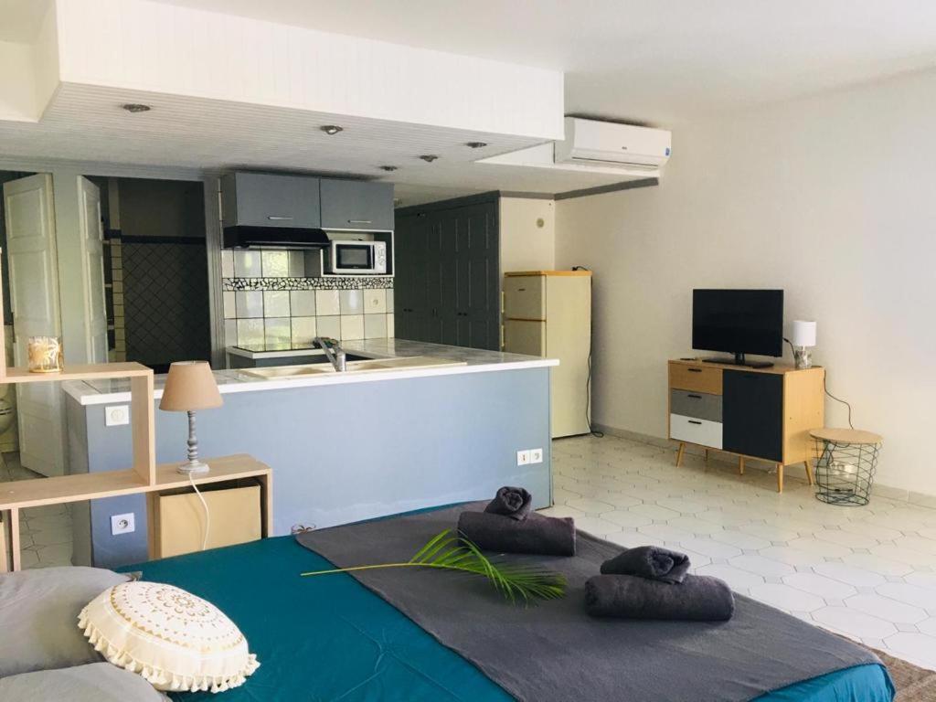 Le Flamboyant - studio 3* avec piscine proche golf view 2