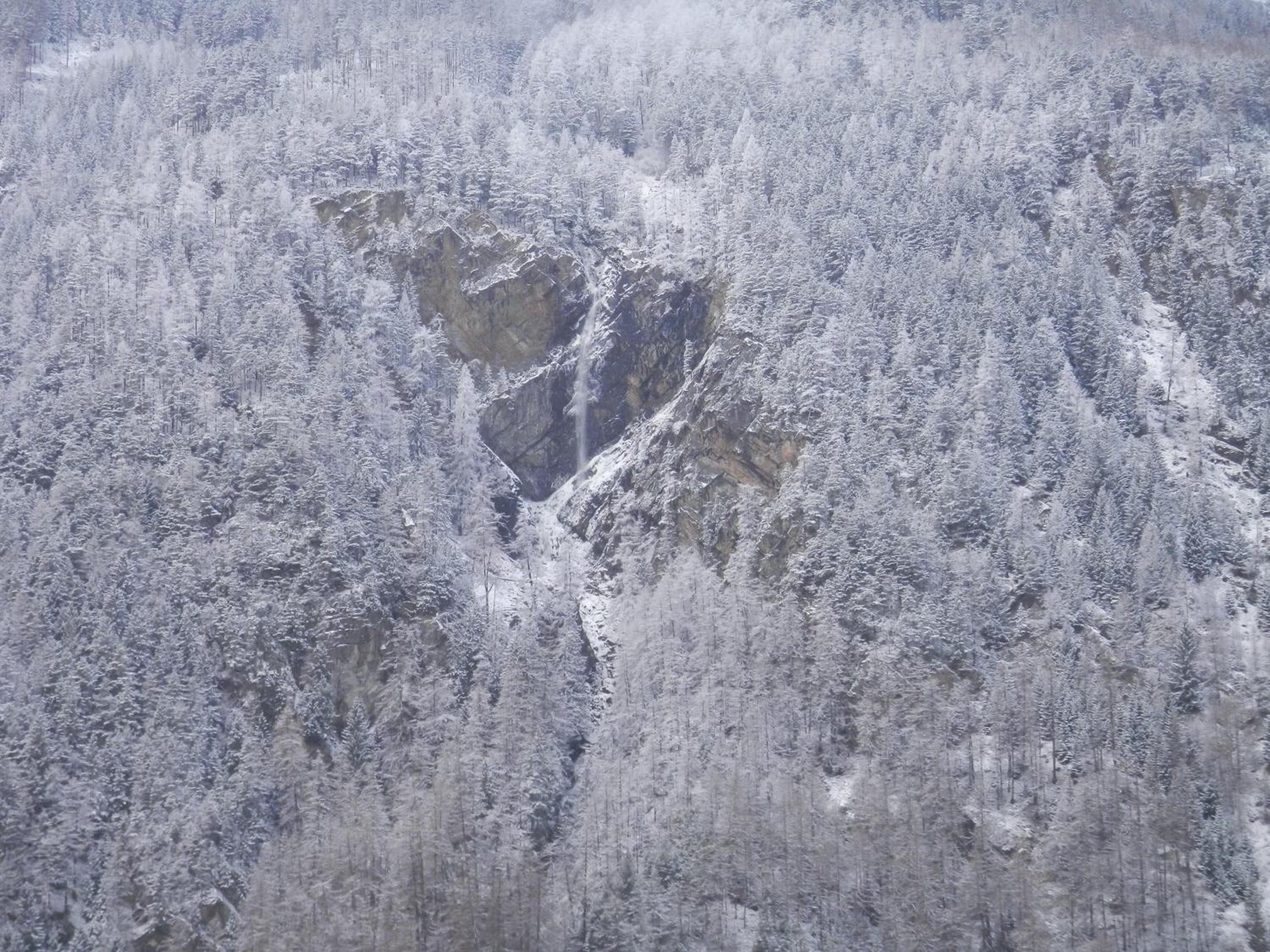 Ferienhaus Alpenroyal