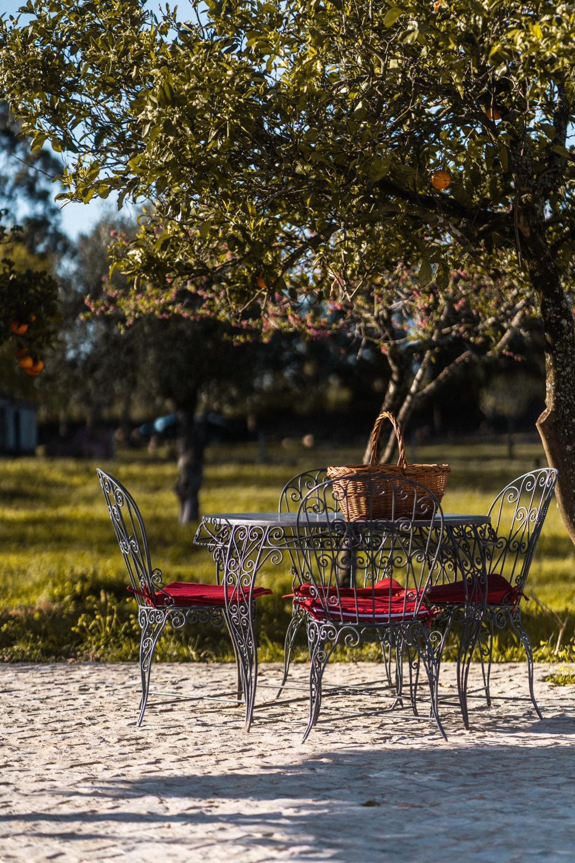 Coimbra Vacations - Granja da Cabrita - Property Image 12