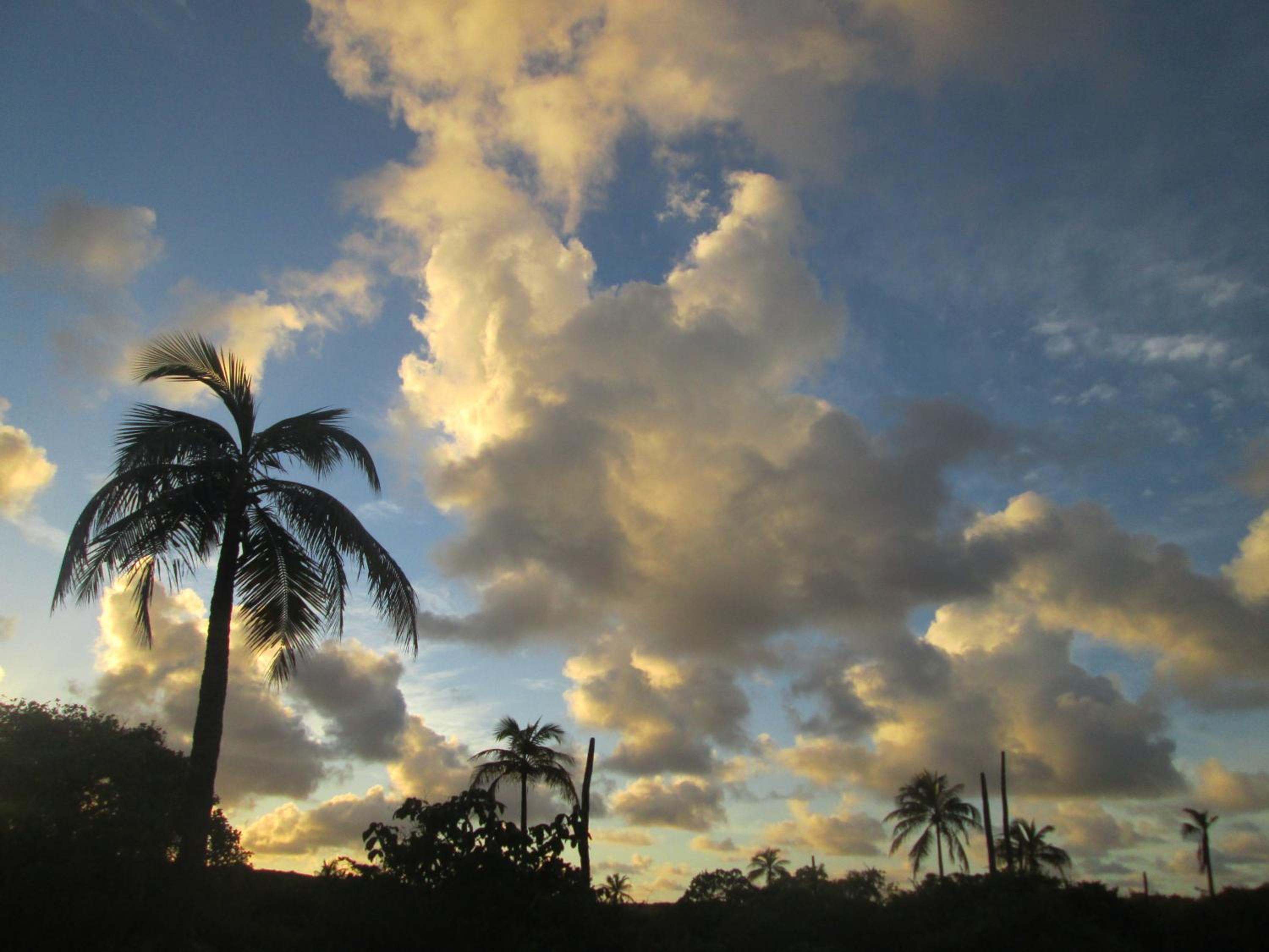 Natal Casa de Playa Coqueiros