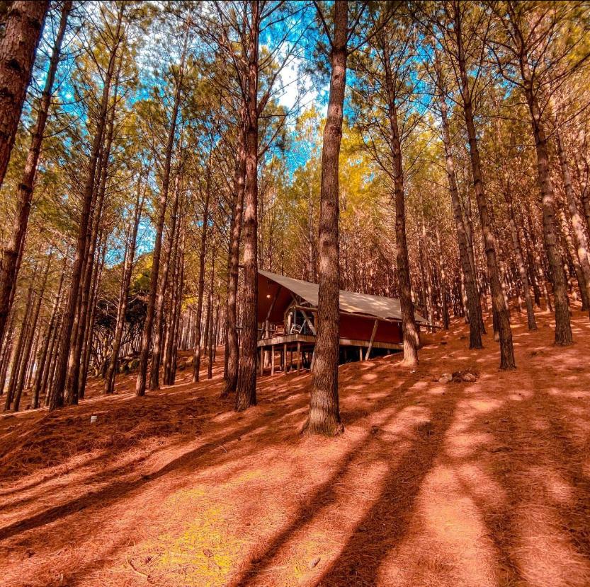 Tedesco Eco Park