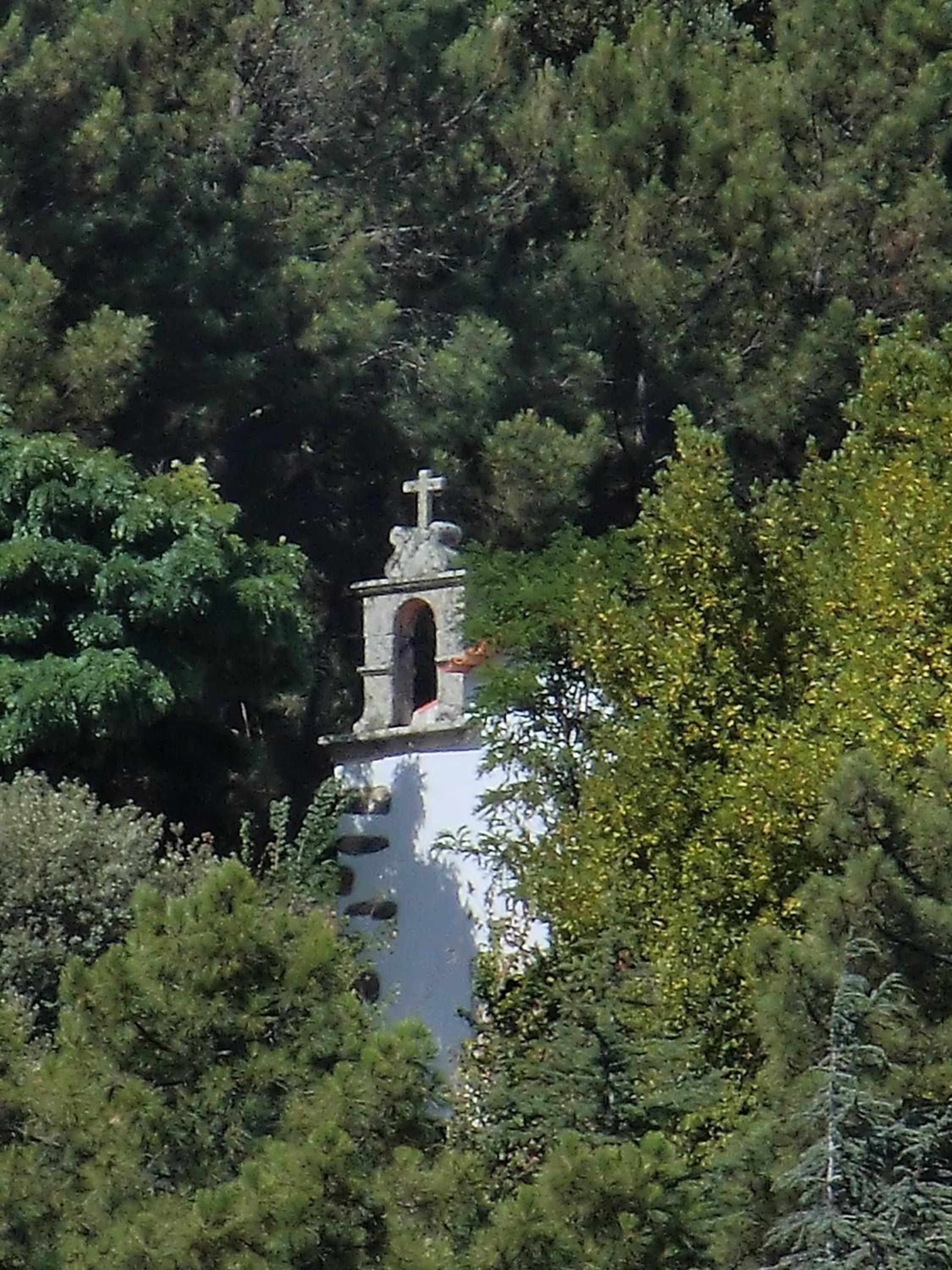 Photo 43