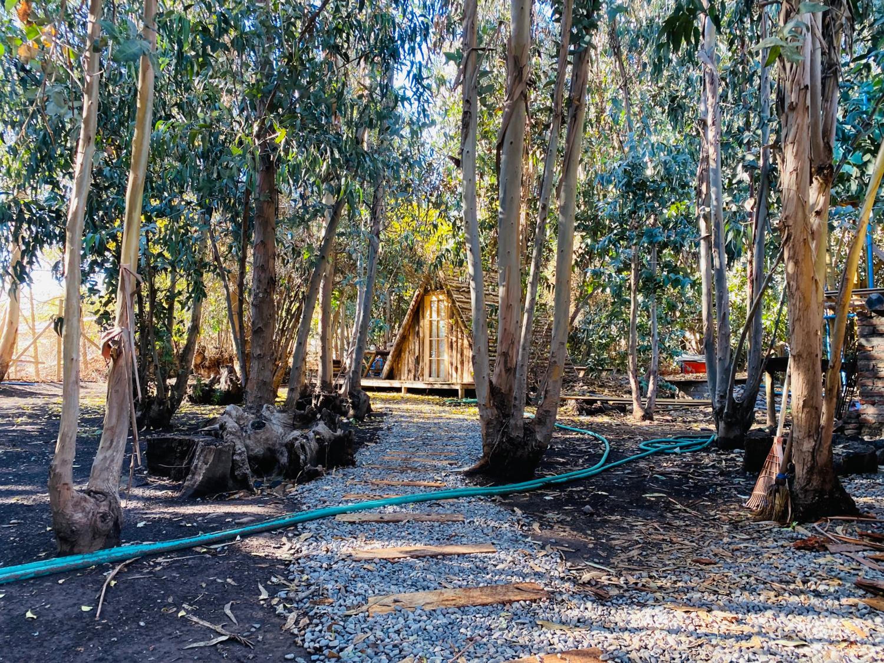Bosques del Paico view 3