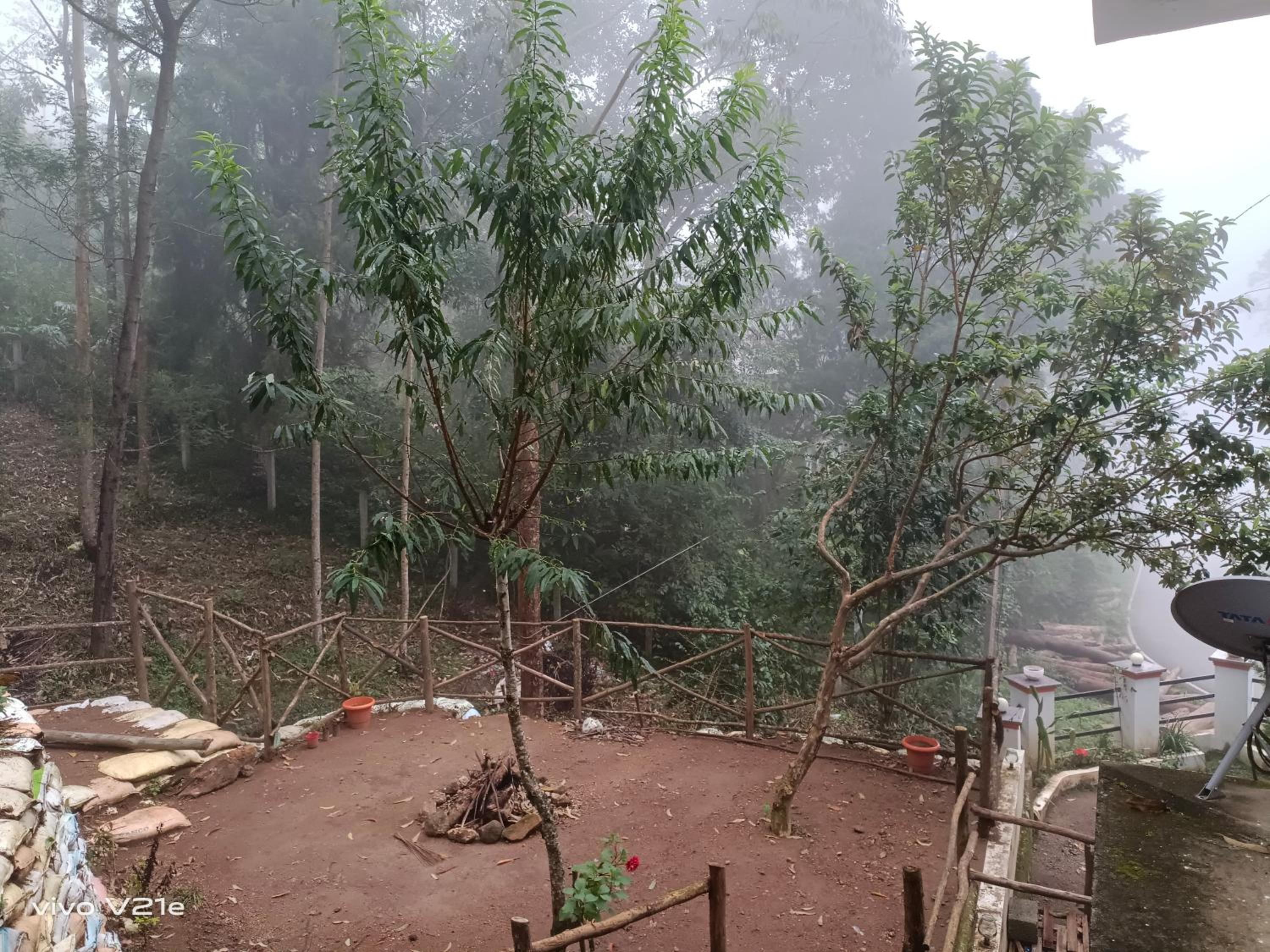 Voyage Munnar Laya Home Stay view 4