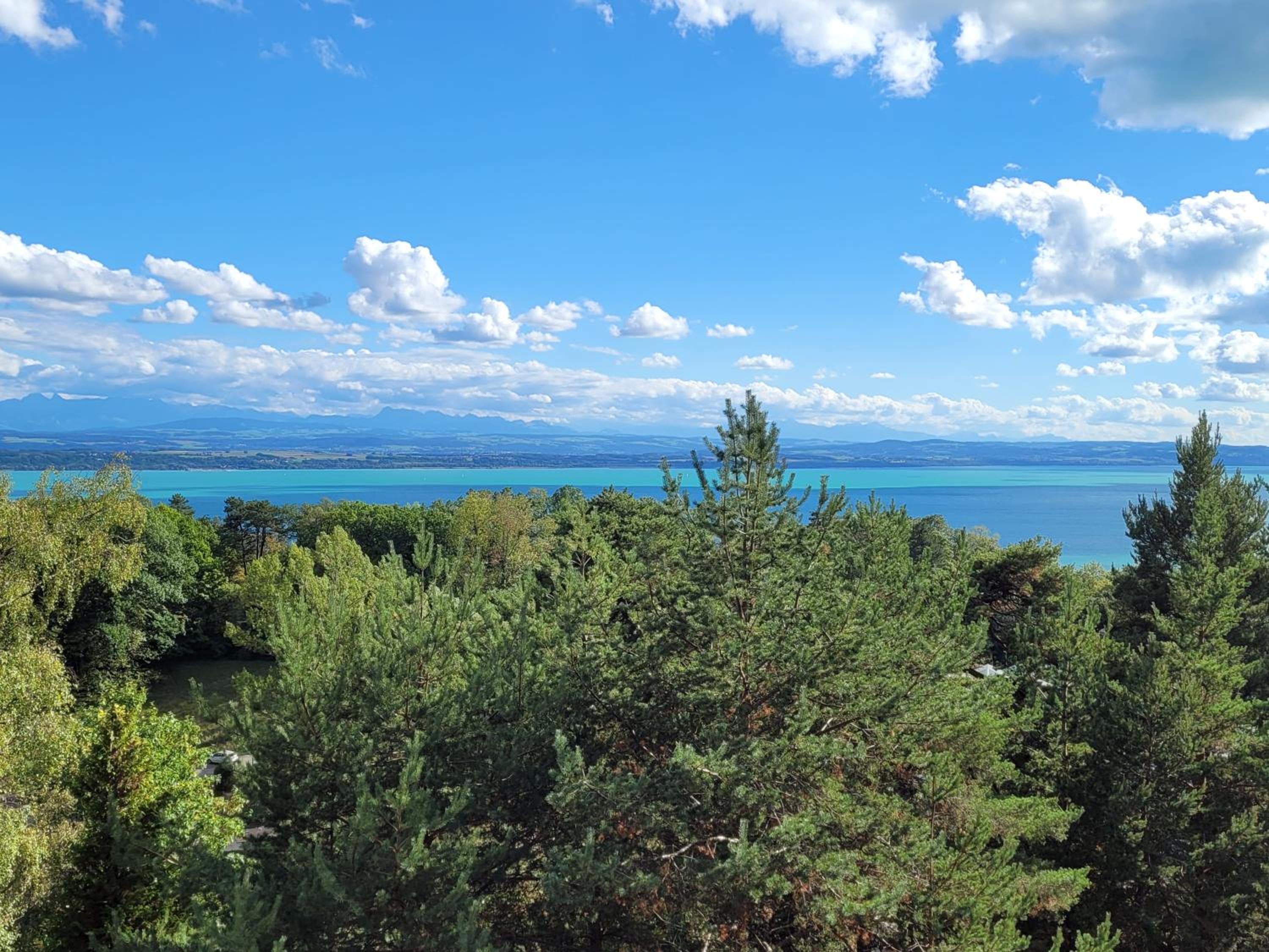 3-bedroom apartment with spectacular view