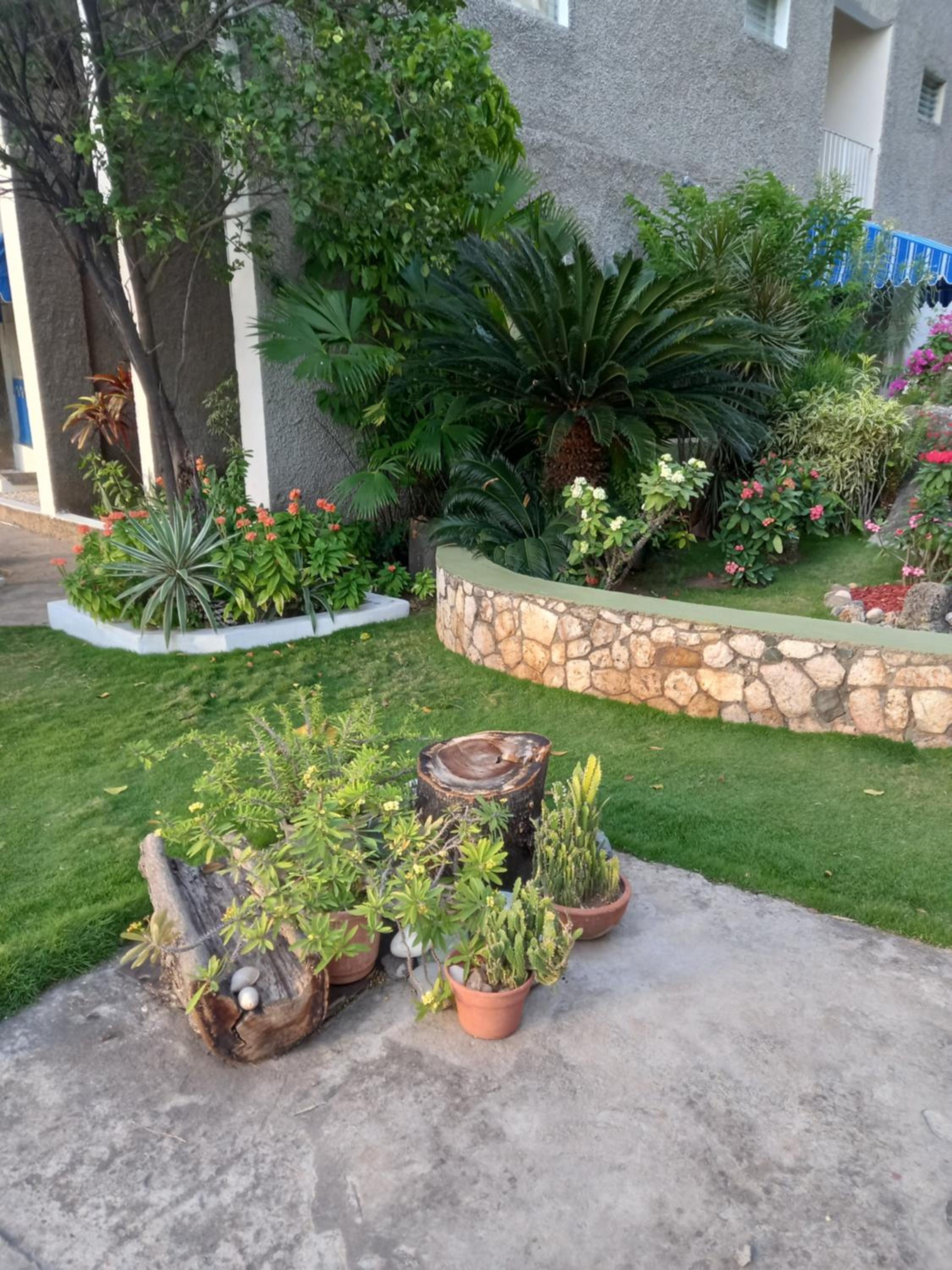 Photo 17