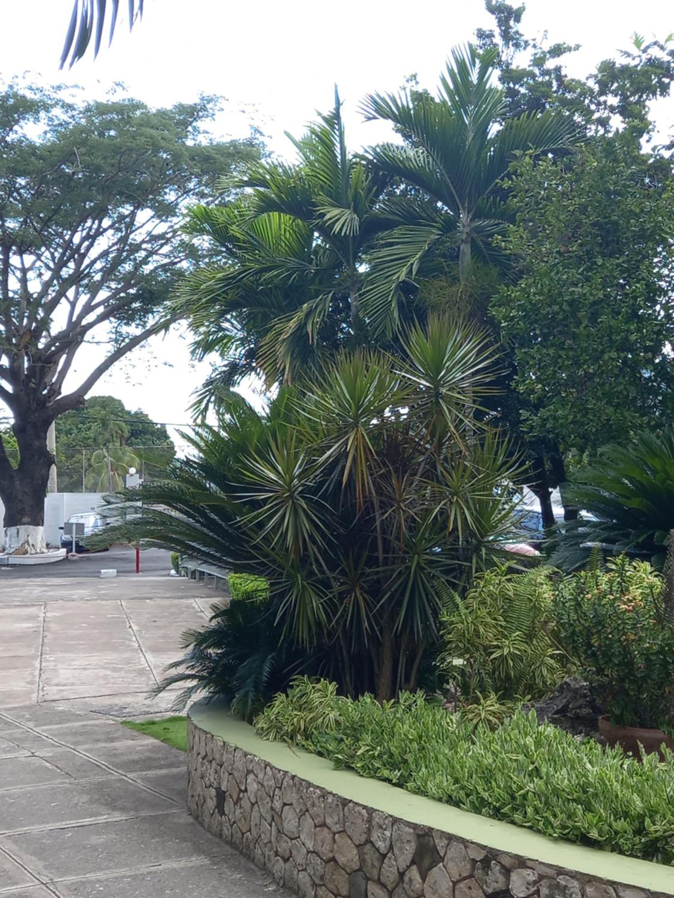 Photo 18