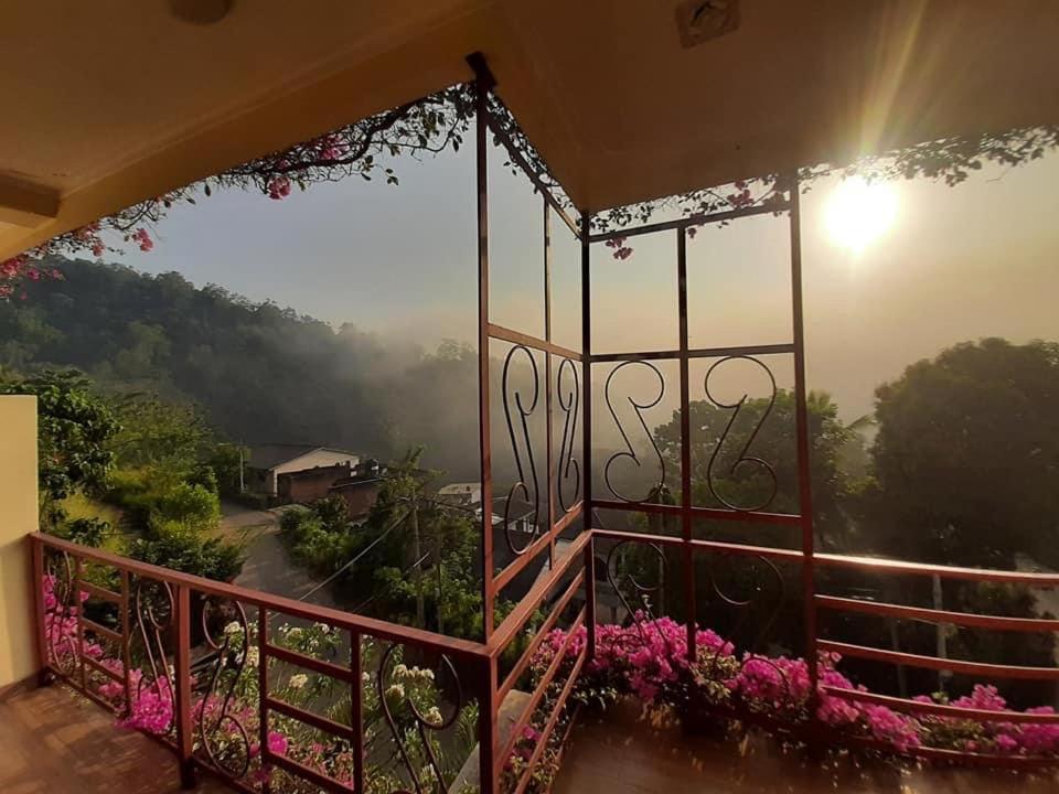 Nature Walk Resort