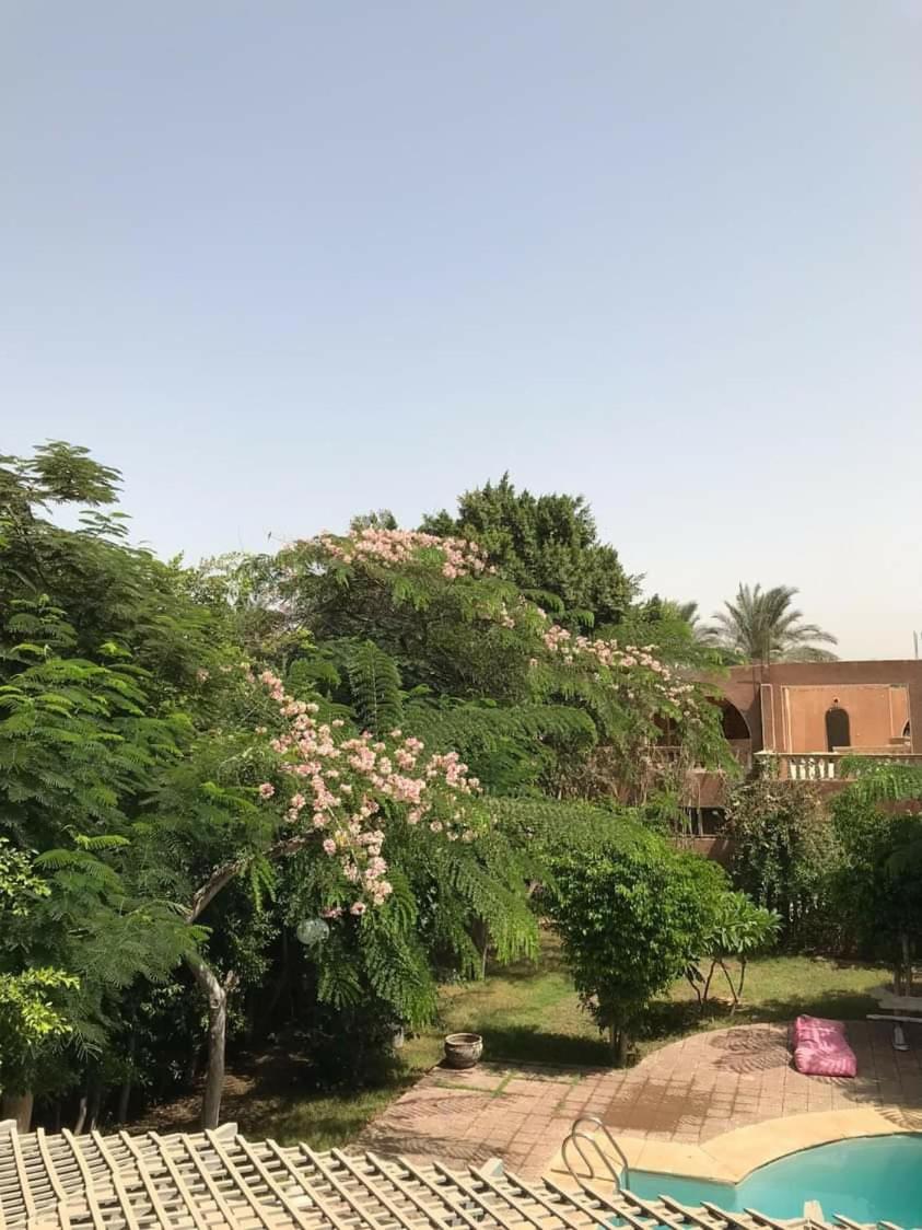 Villa by the Pyramids