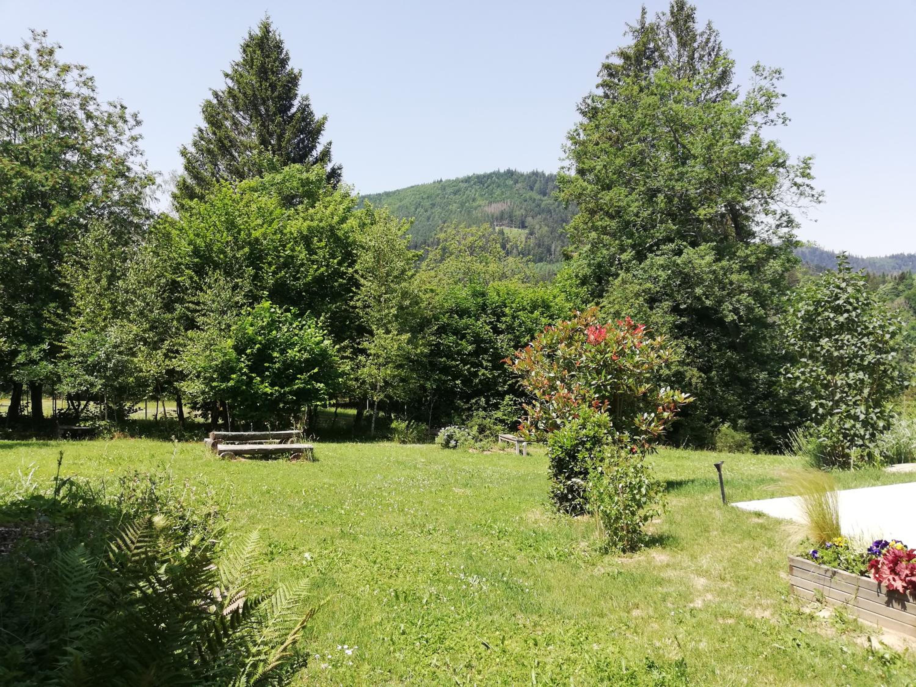 Domaine De Siane