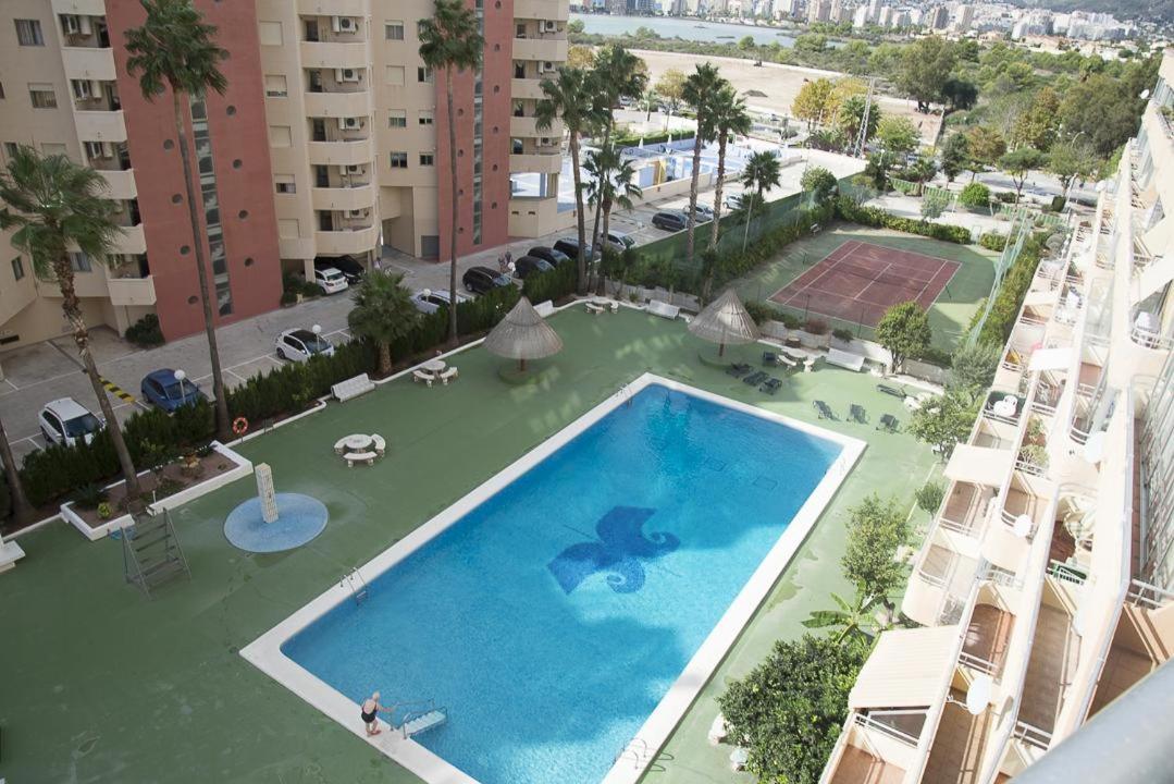 Aguamarina 36C view 3