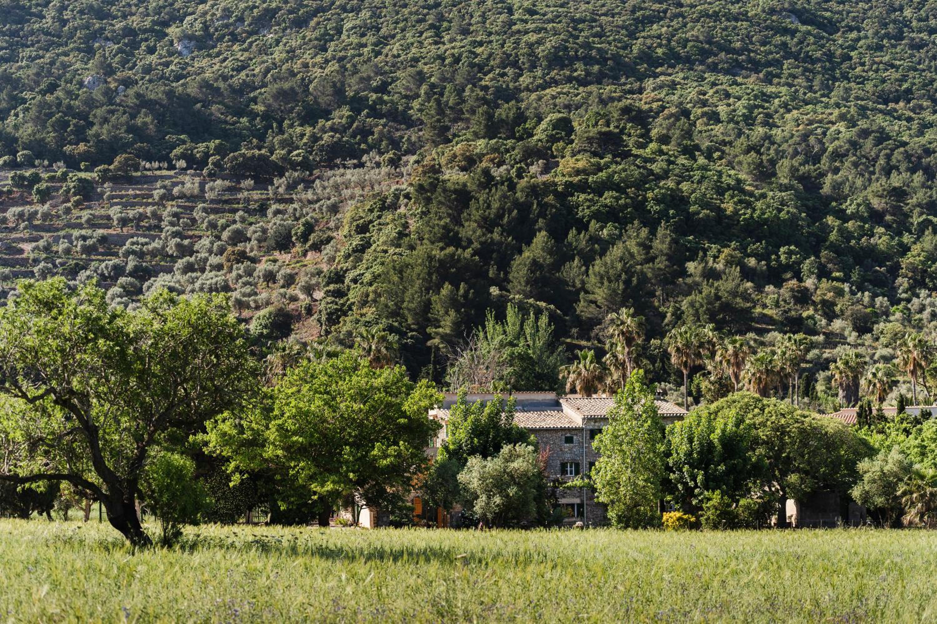 Sa Sinia - Finca en el corazón de la Tramuntana view 4