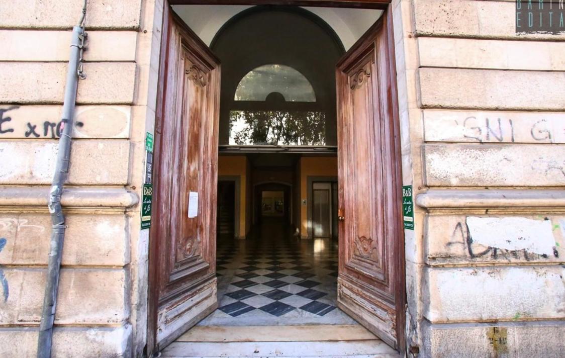 Loft “Cinema Galleria”