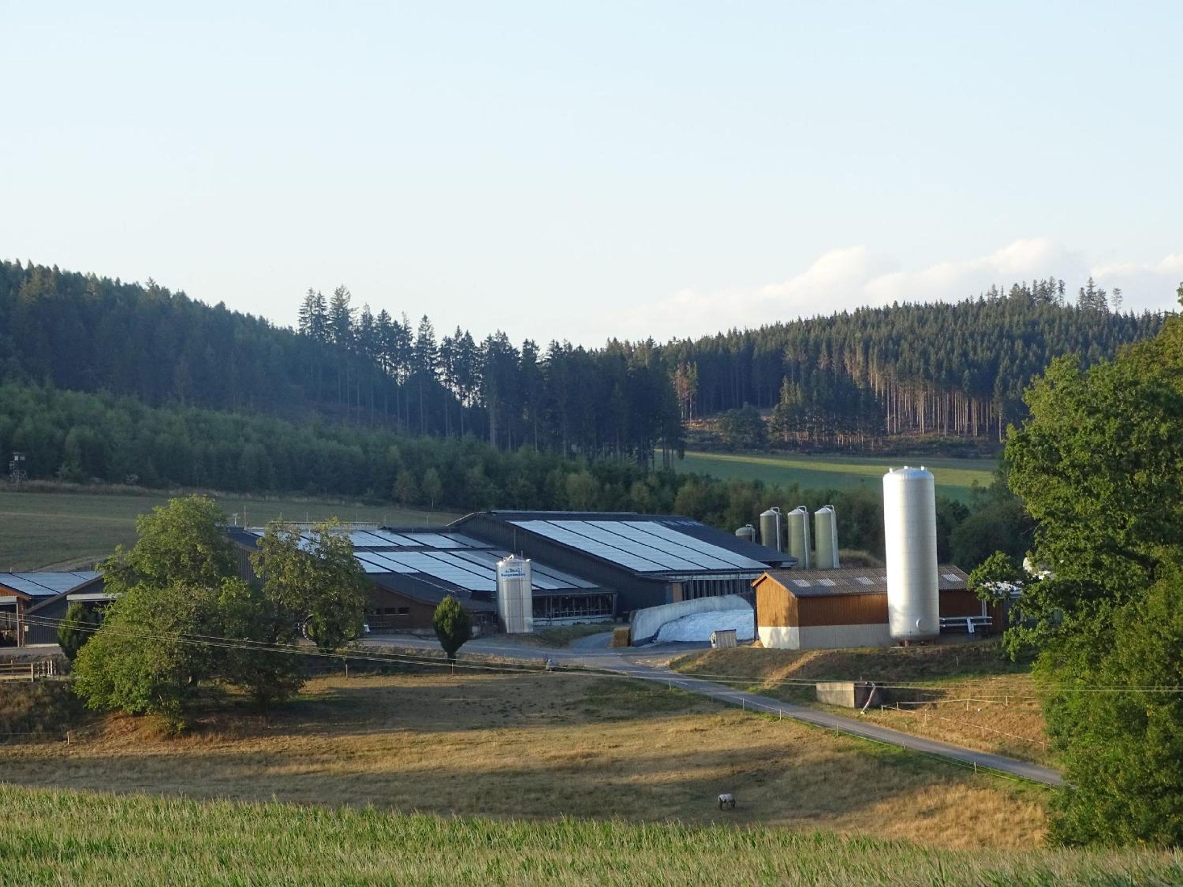 Blockhaus