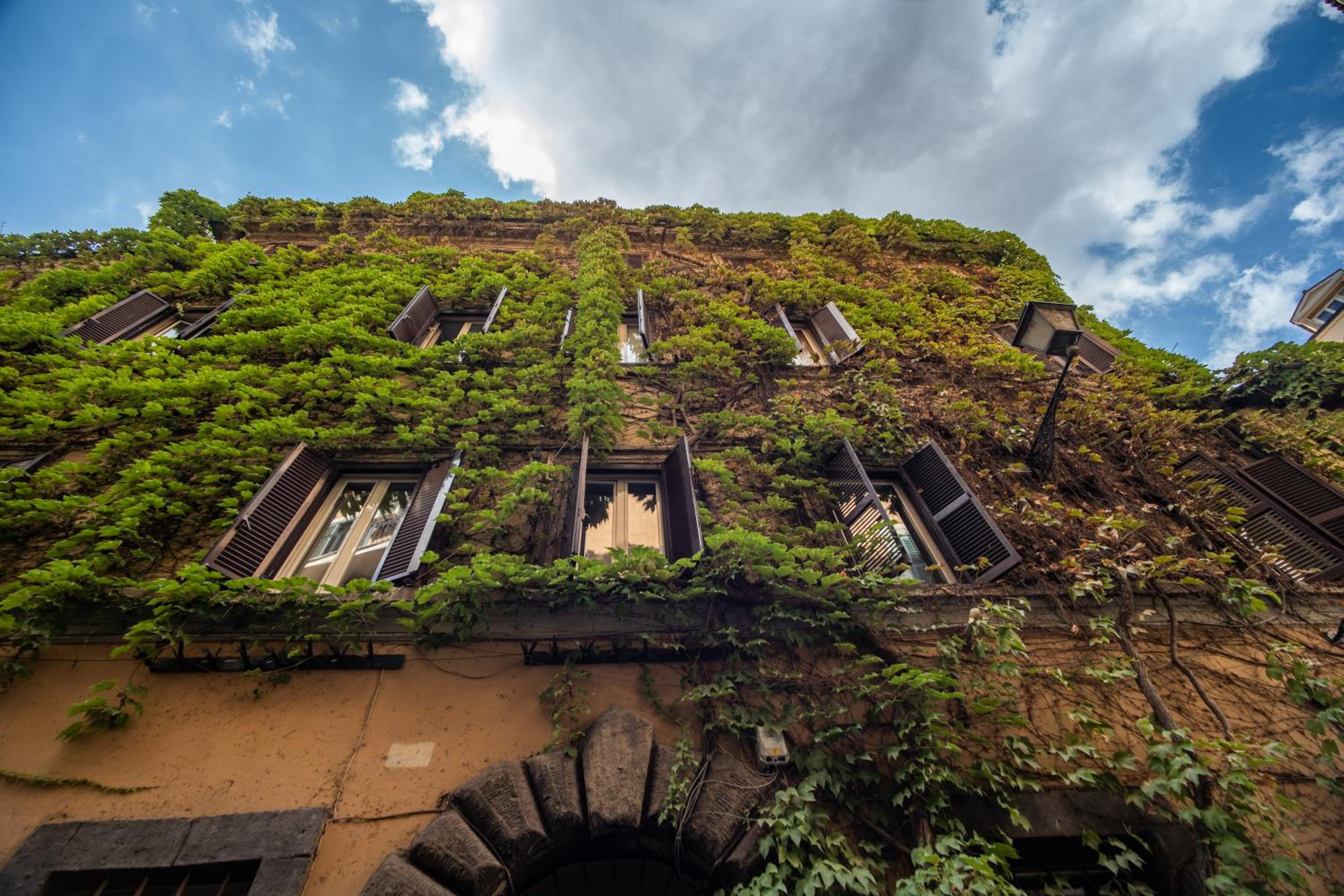 Lovely flat in the heart of Trastevere