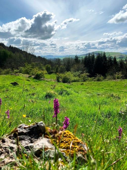 Cynynion Uchaf Farmhouse - 18th Century, Welsh Borders, Breathtaking Views