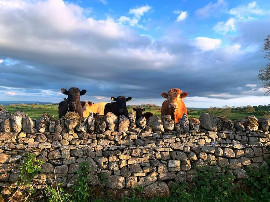 Cynynion Uchaf Farmhouse - 18th Century, Welsh Borders, Breathtaking Views