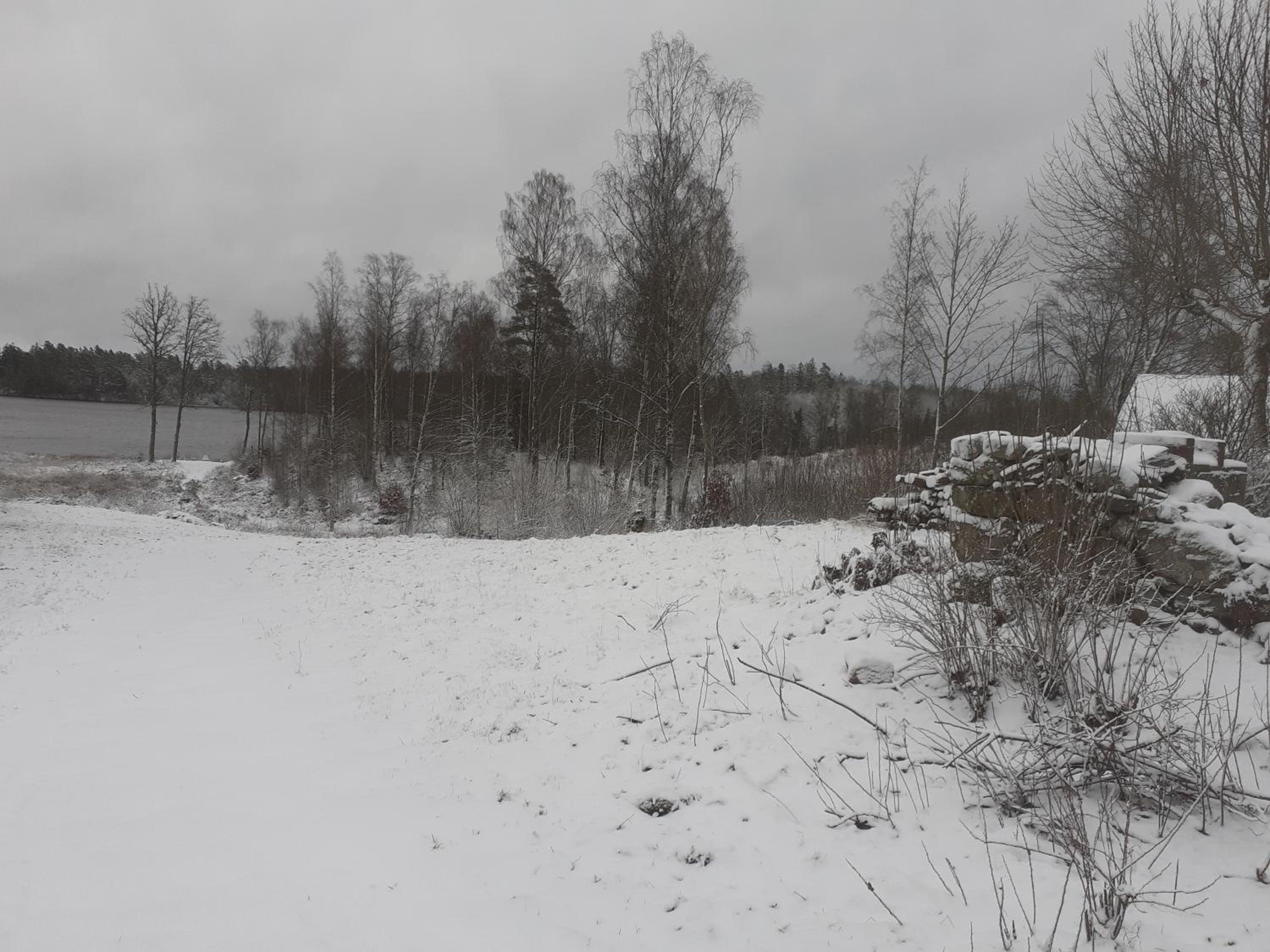 Photo 35