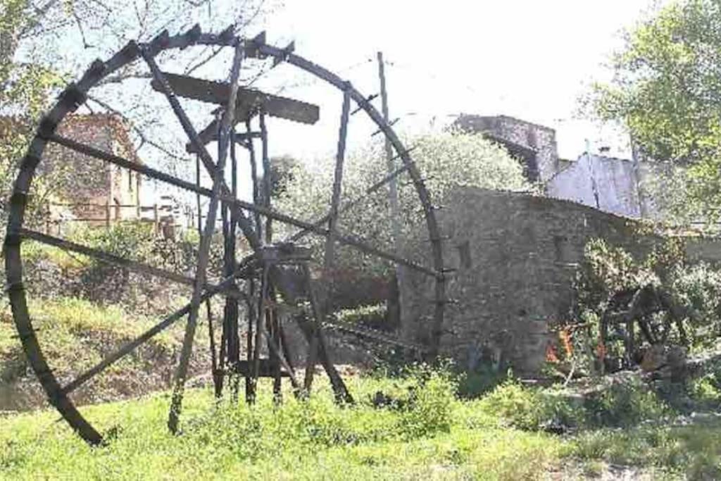 Photo 21