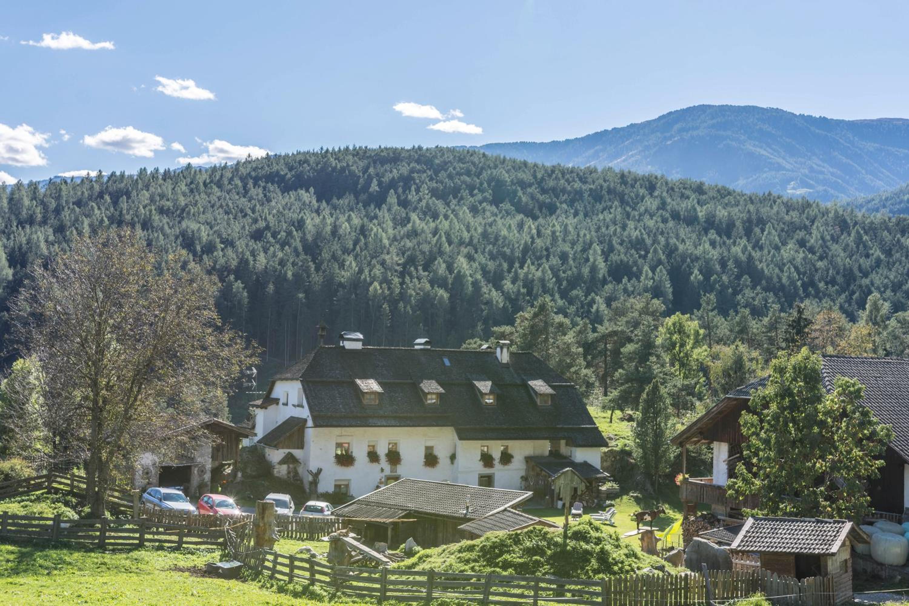 Oberwieserhof App 3
