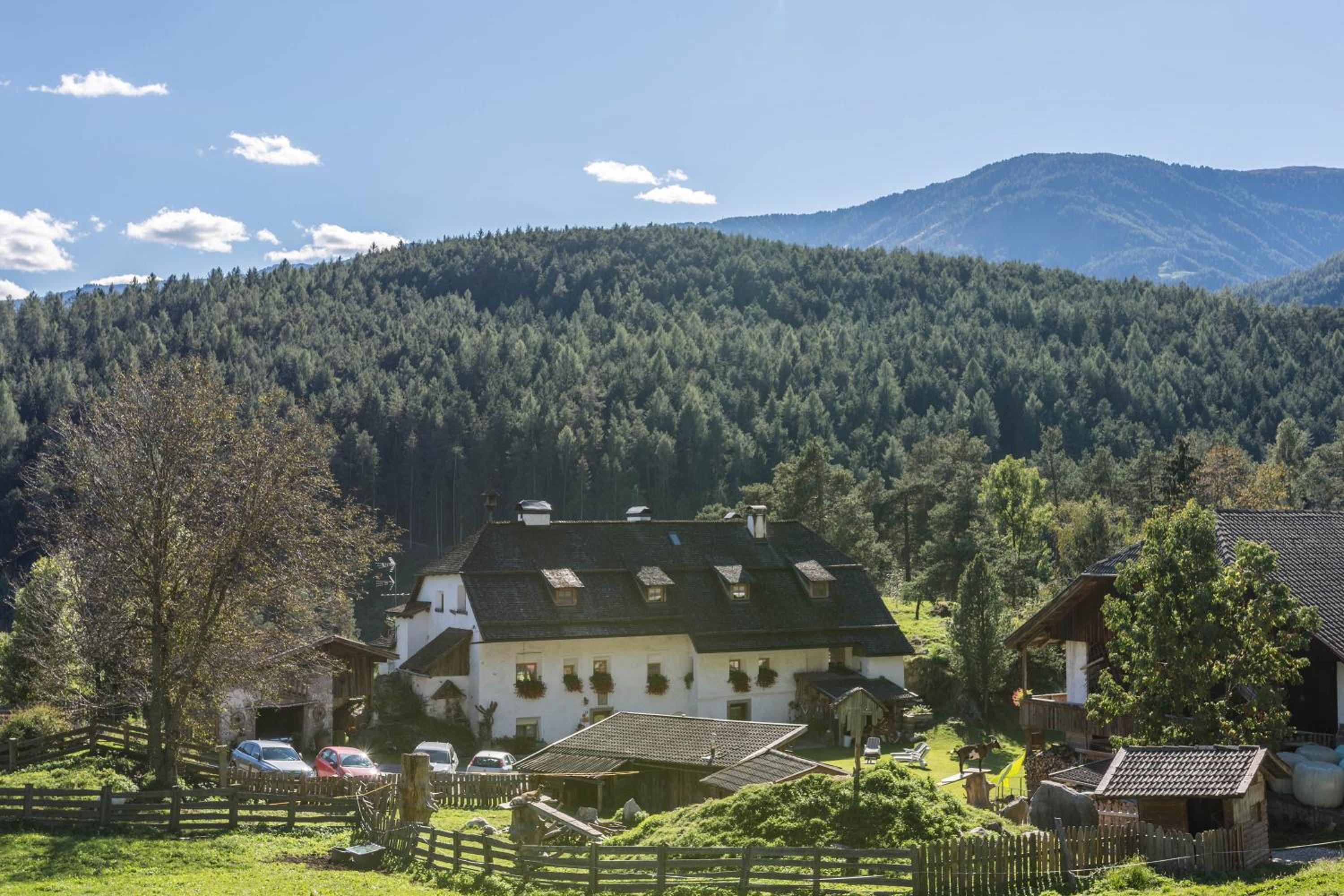 Oberwieserhof App 1