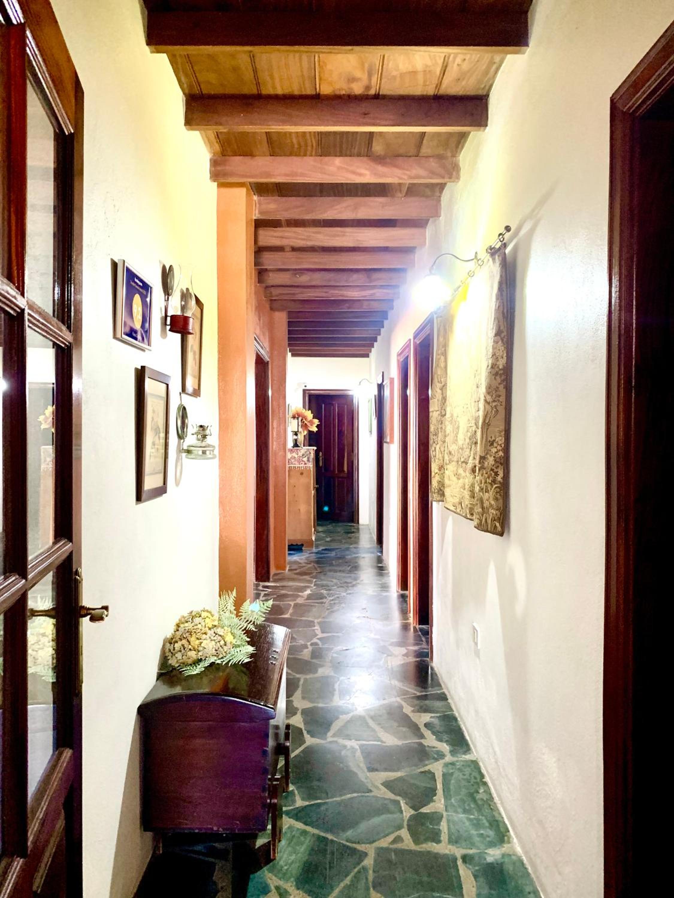 Finca Chimaca view 4