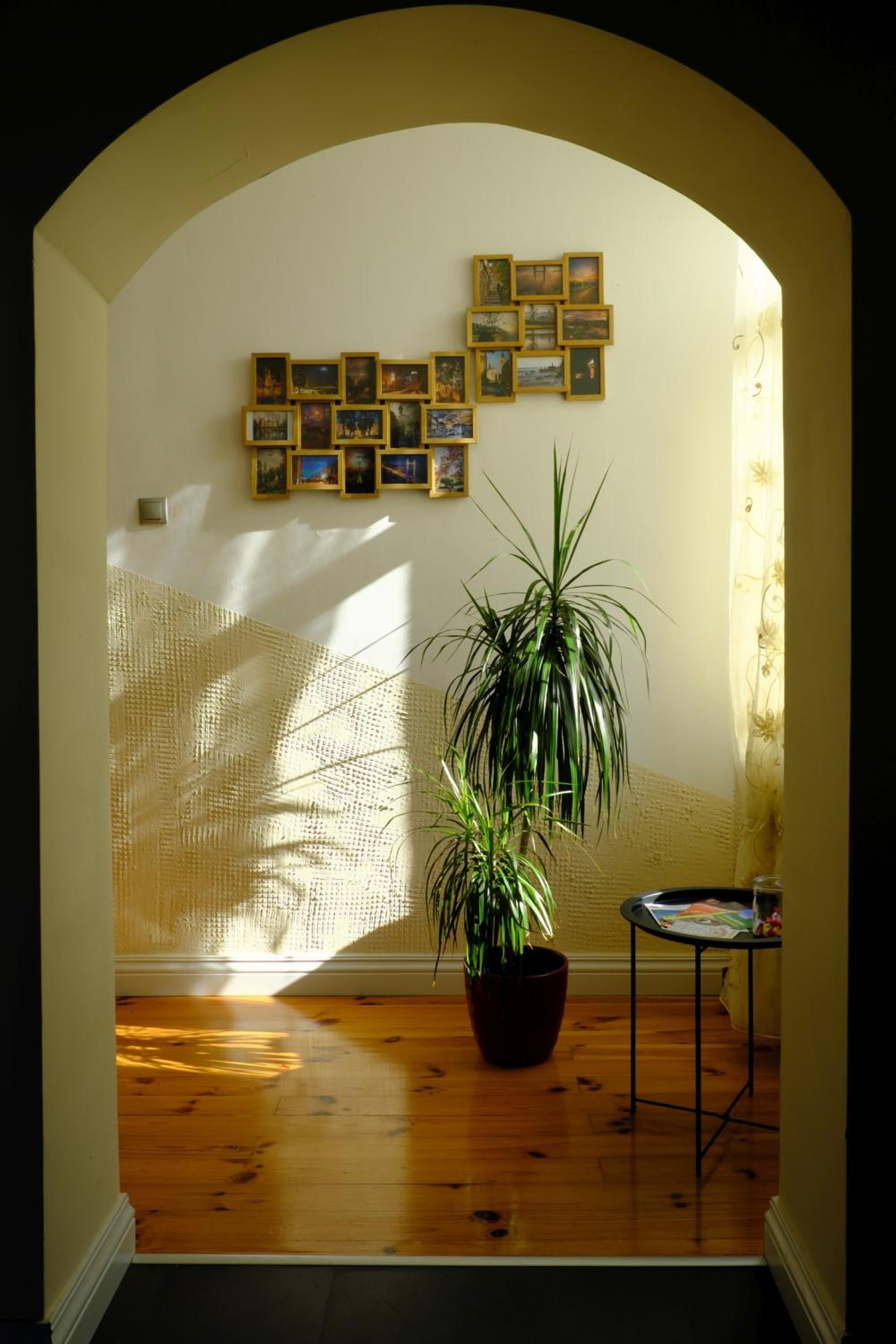 Photo 24