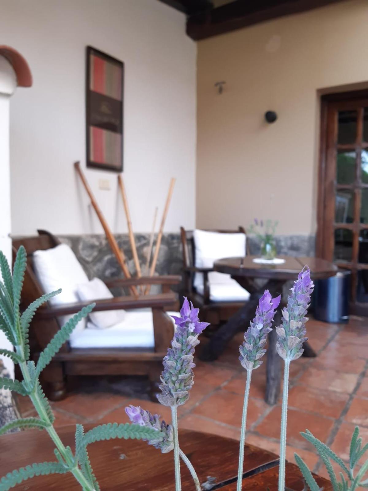 Casa del Sol Cafayate