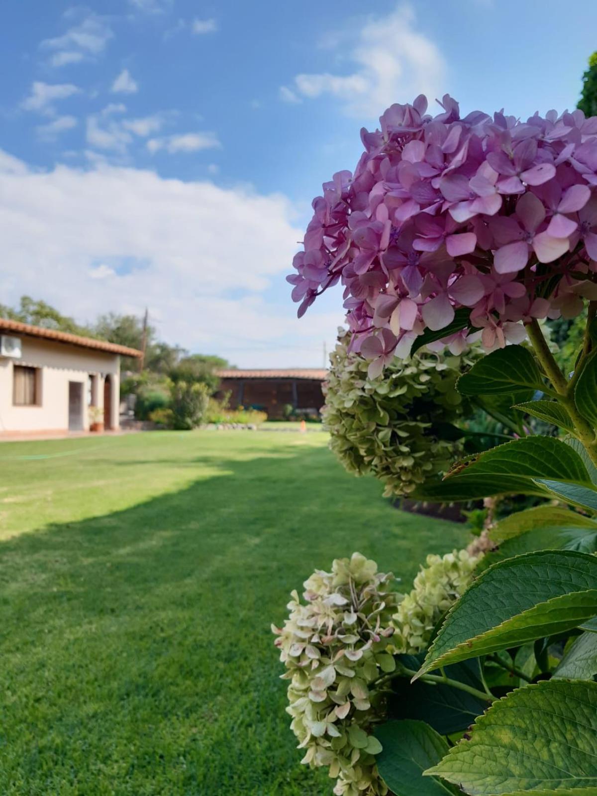 Casa del Sol Cafayate