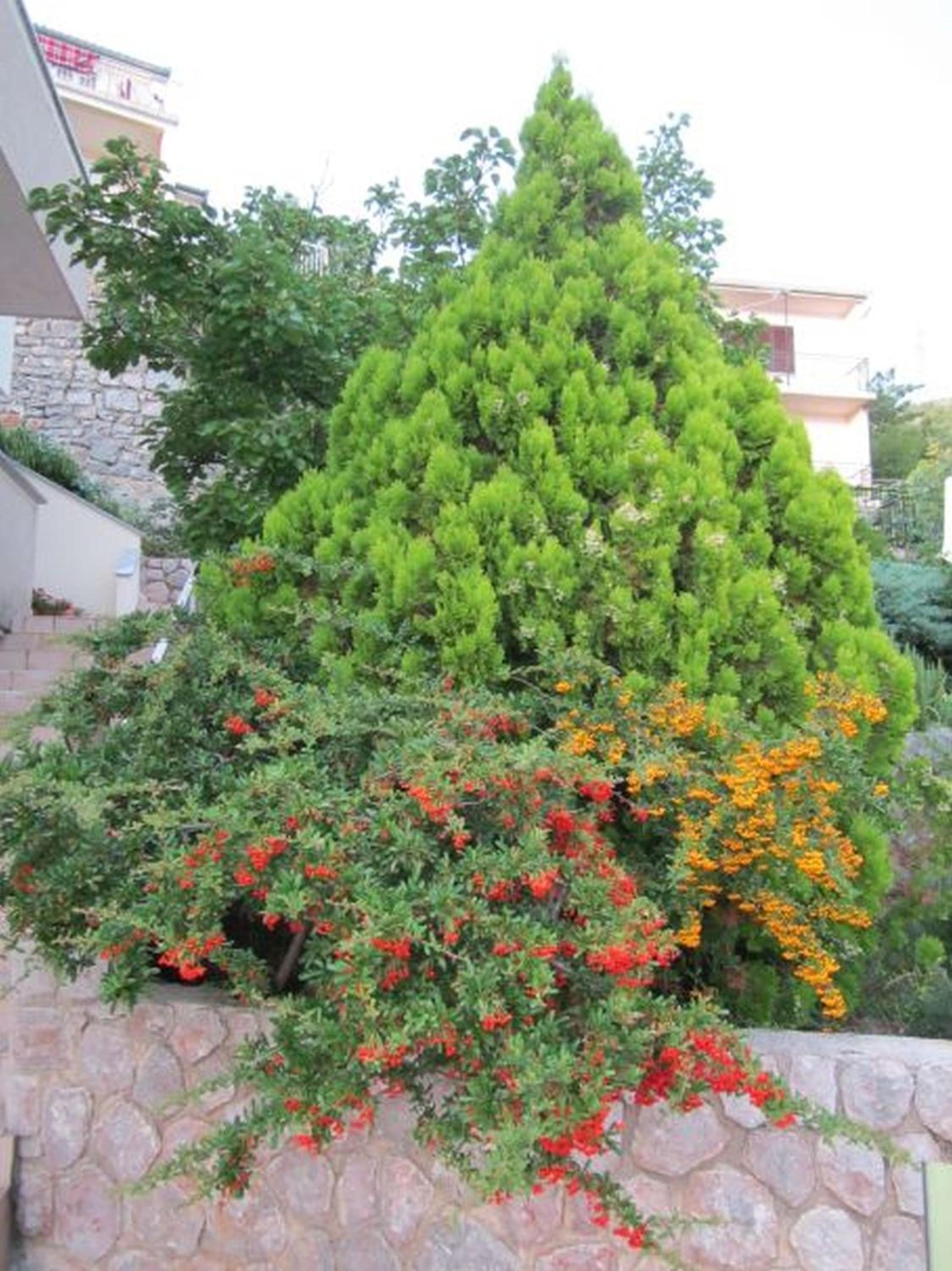 Photo 29