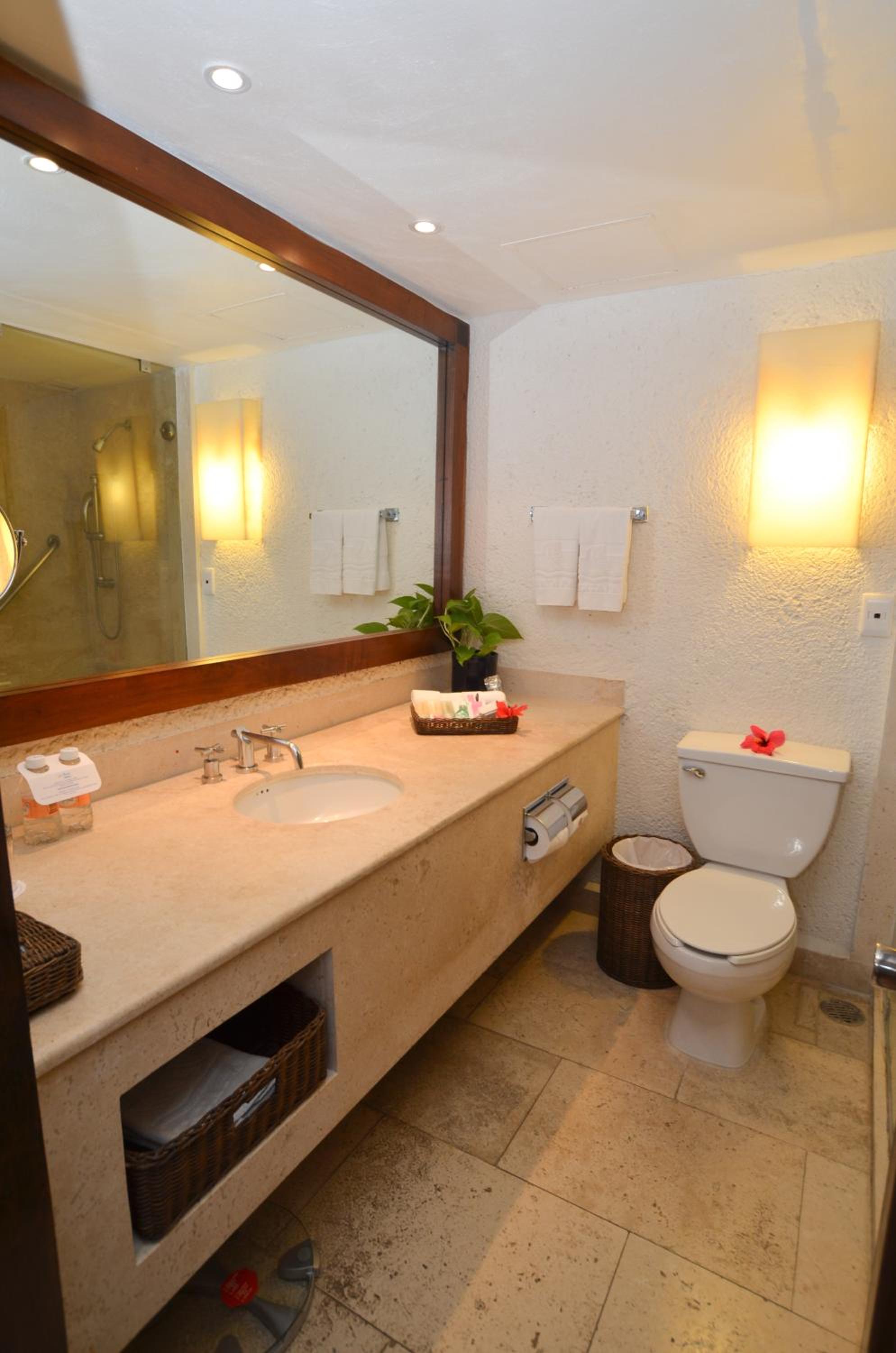 Las Brisas Ixtapa - Property Image 43