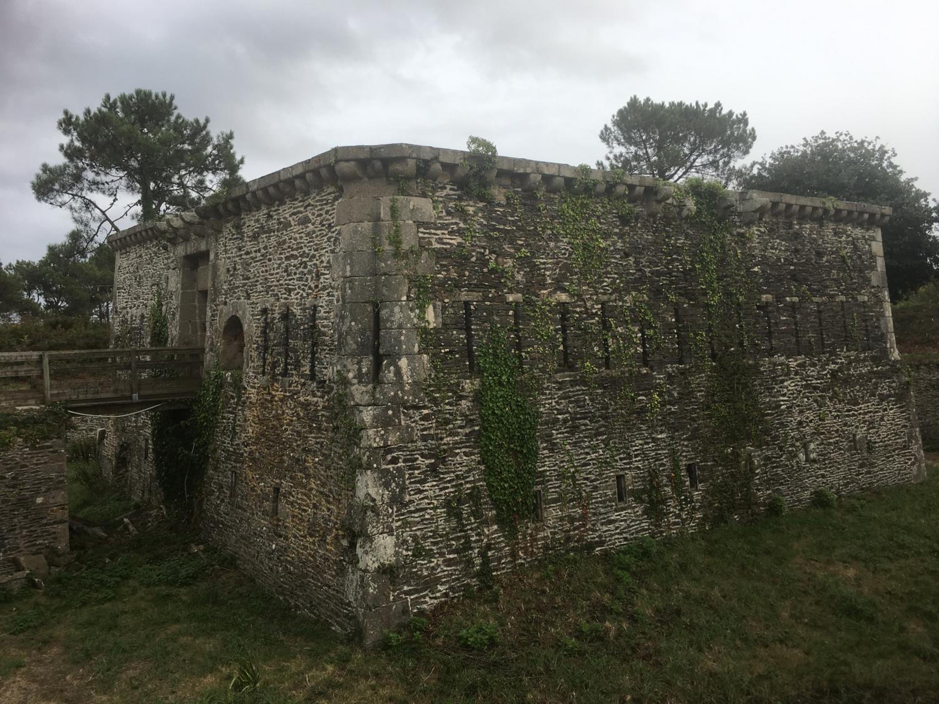 Photo 46