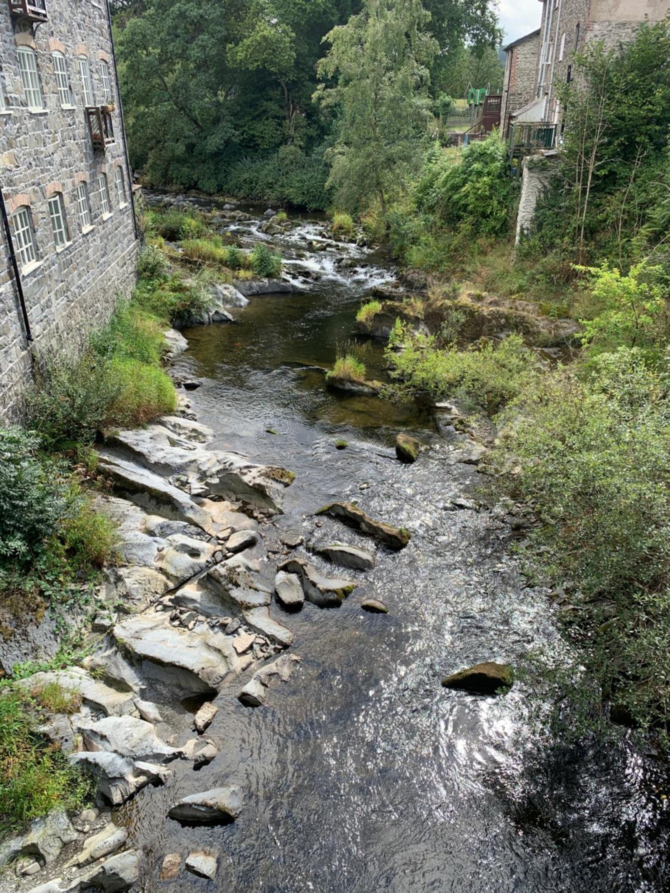 Photo 35