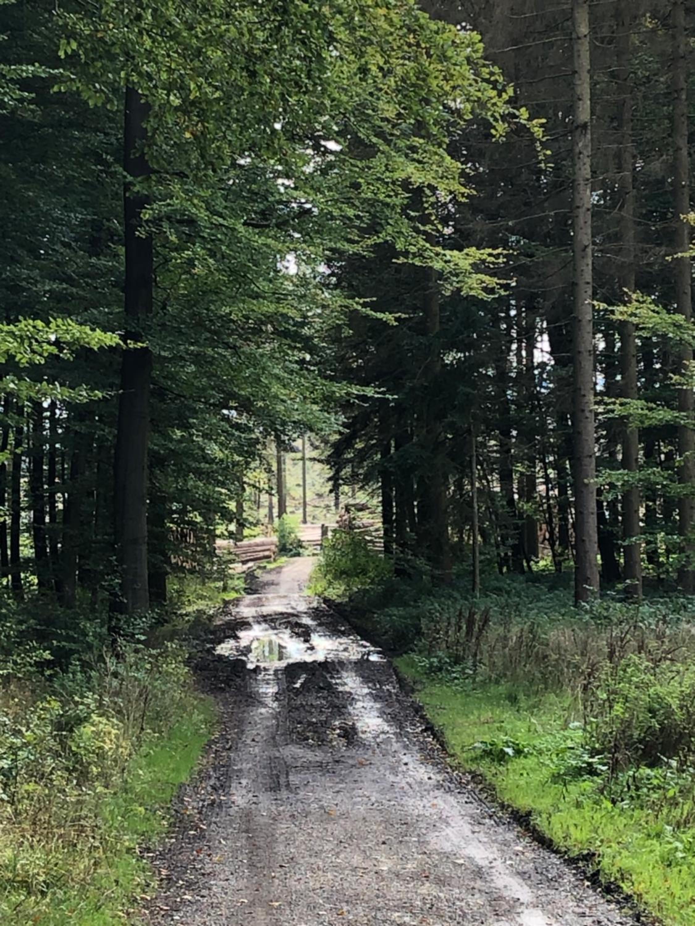 Ferienwohnung am Eggegebirge