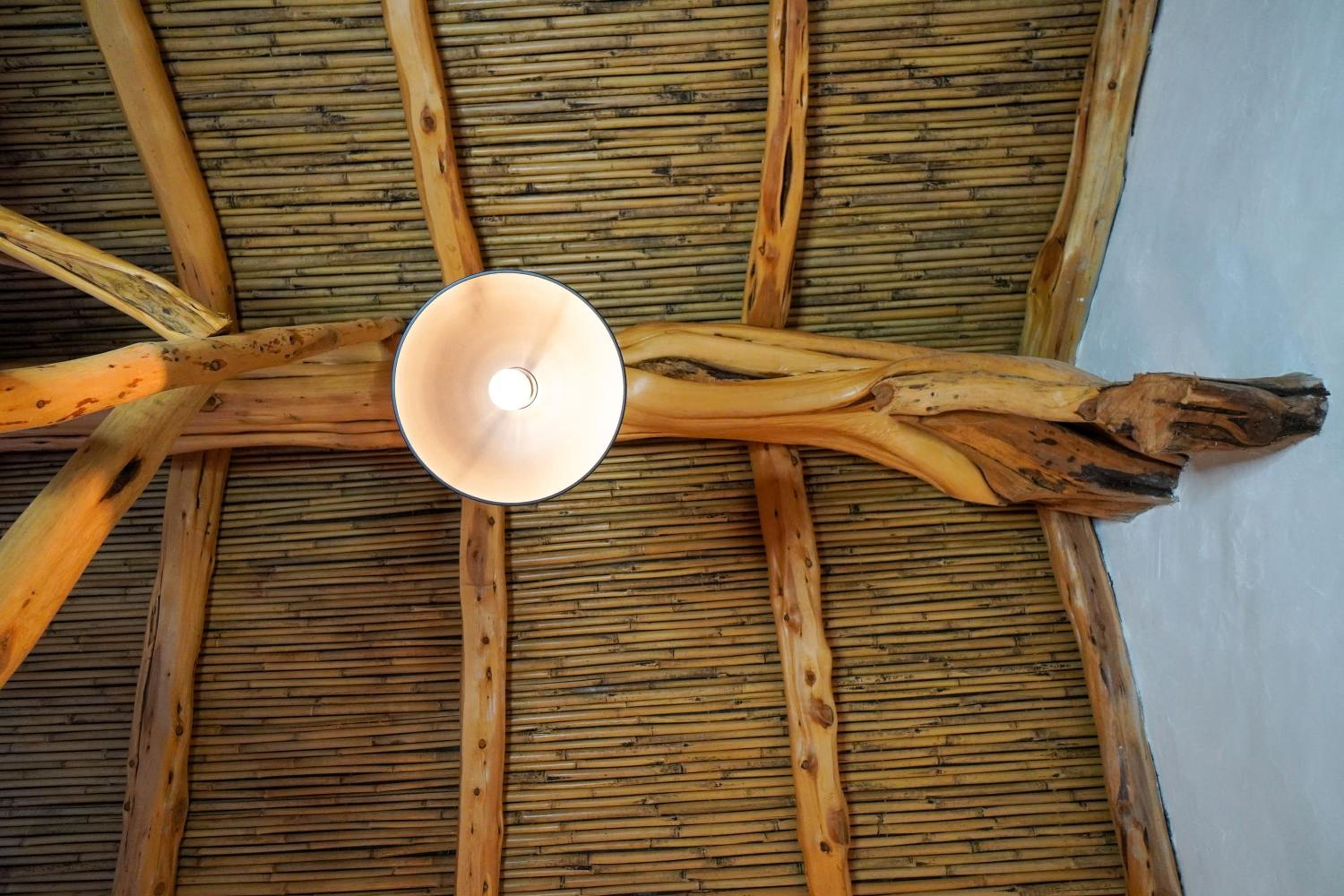 Photo 38