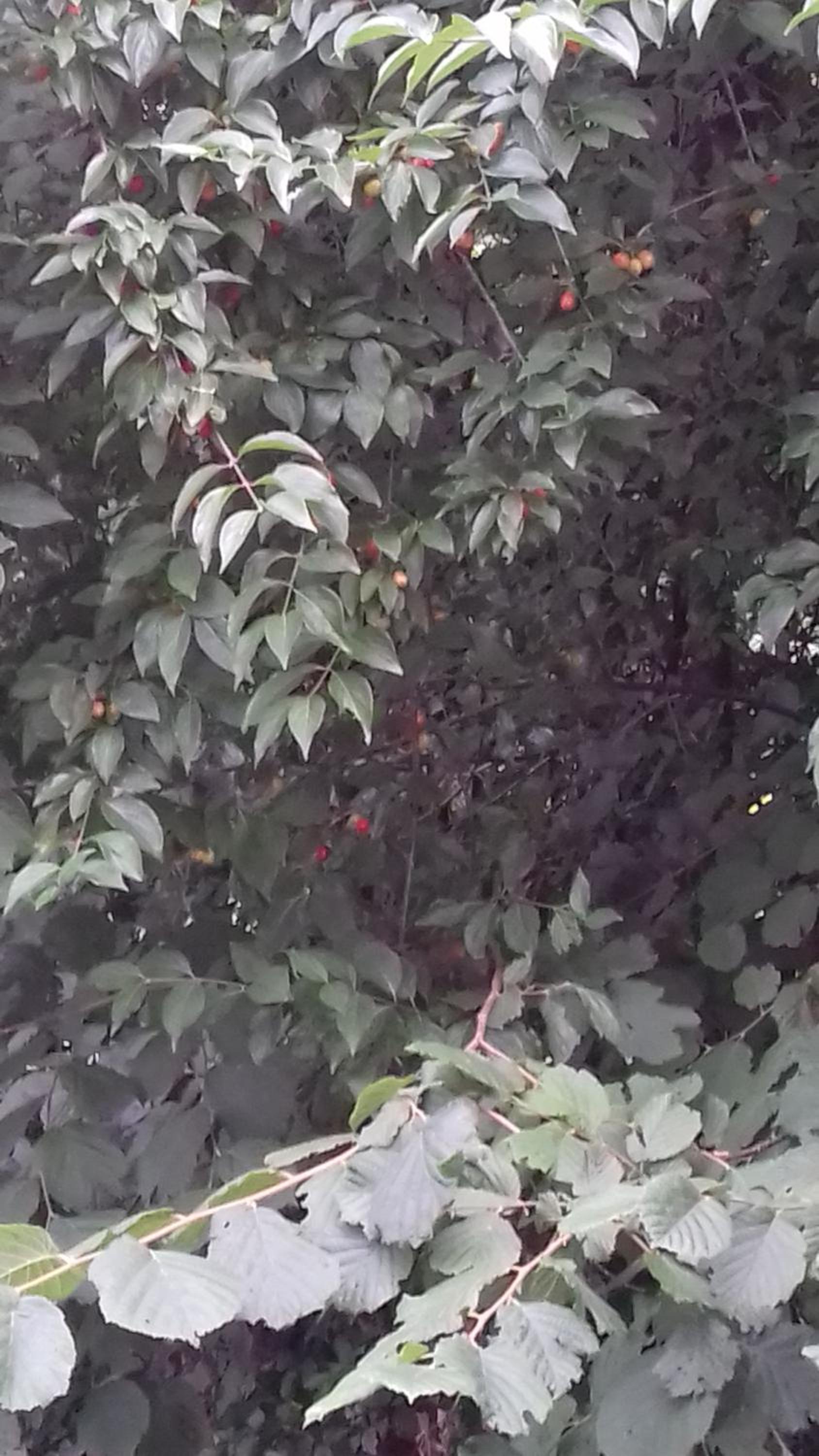 Photo 26