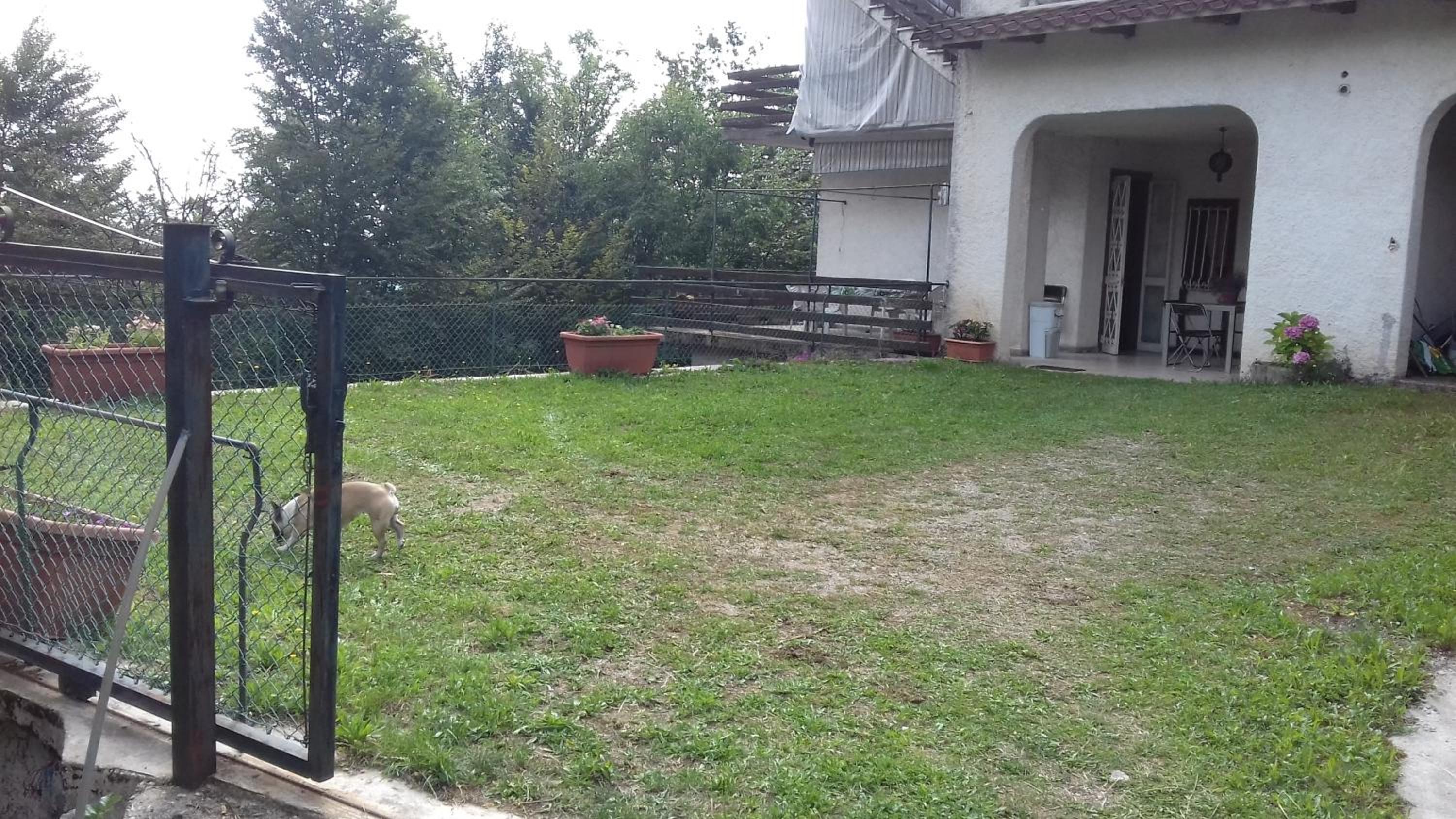 Photo 46